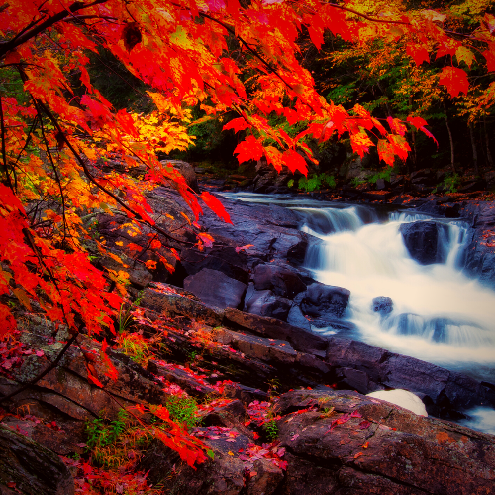 New Seasons — 3GEN Ministries