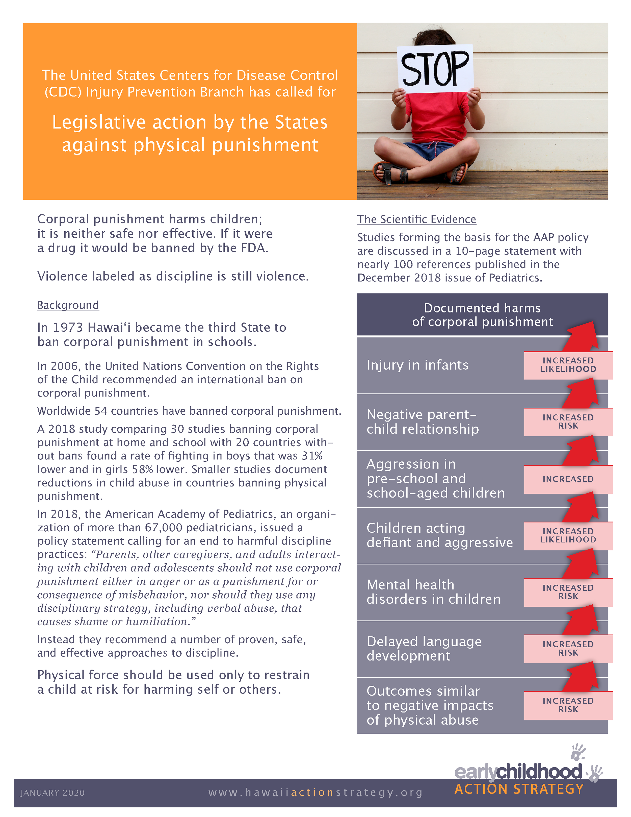 2020 Issue Brief: Corporal Punishment (Copy)