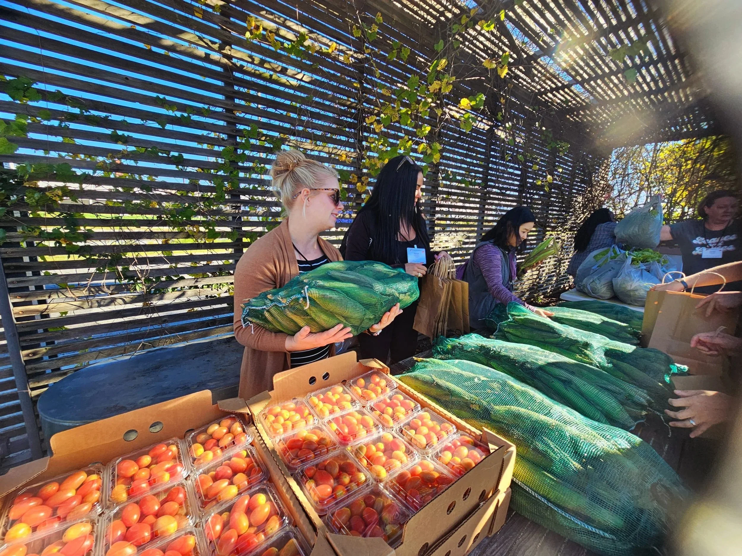 Growing Local Food Access in Early Childhood Care&nbsp;