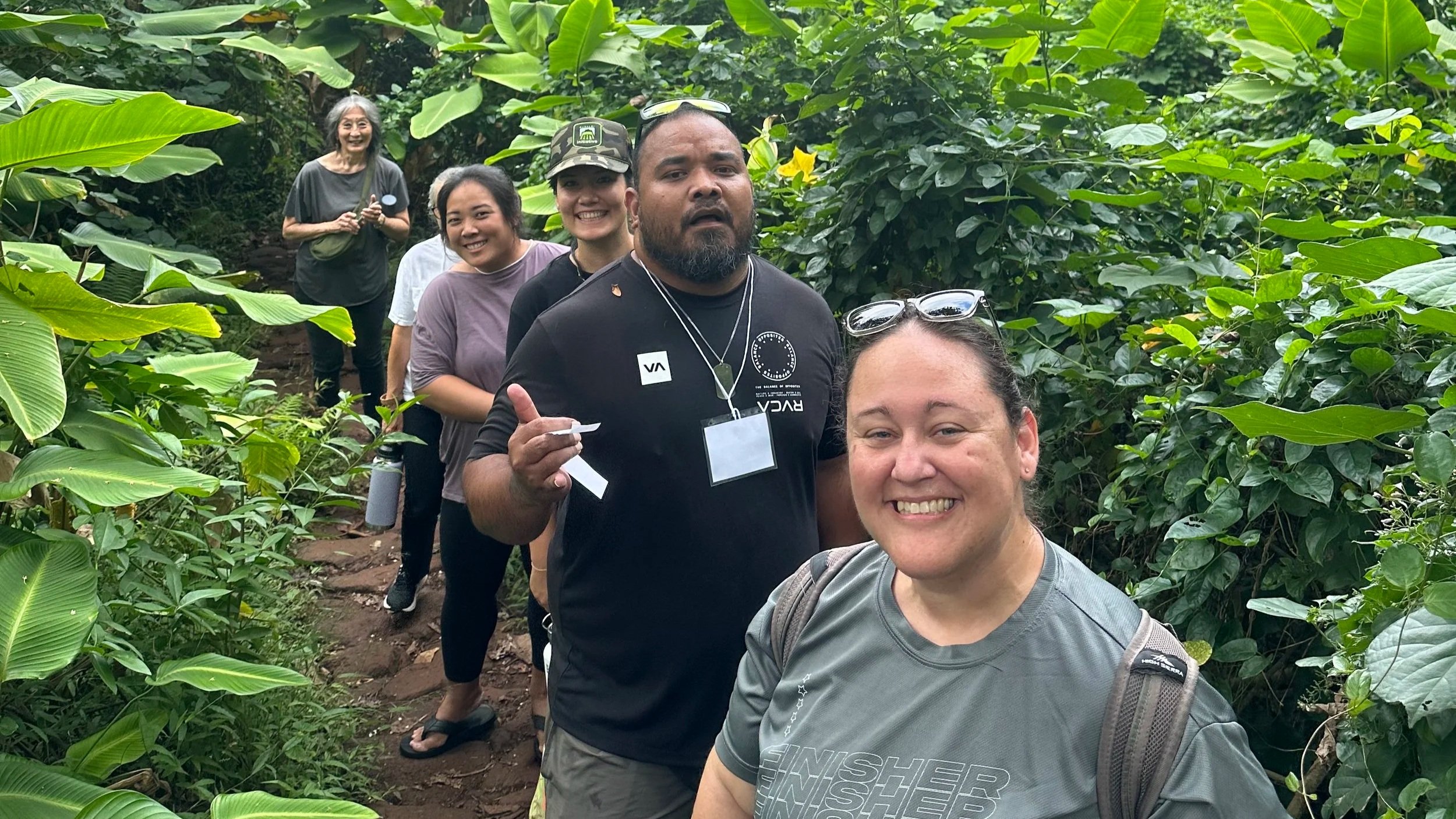 All Network Meetings: Sharing Lessons Learned and Interactive Professional Development Opportunities