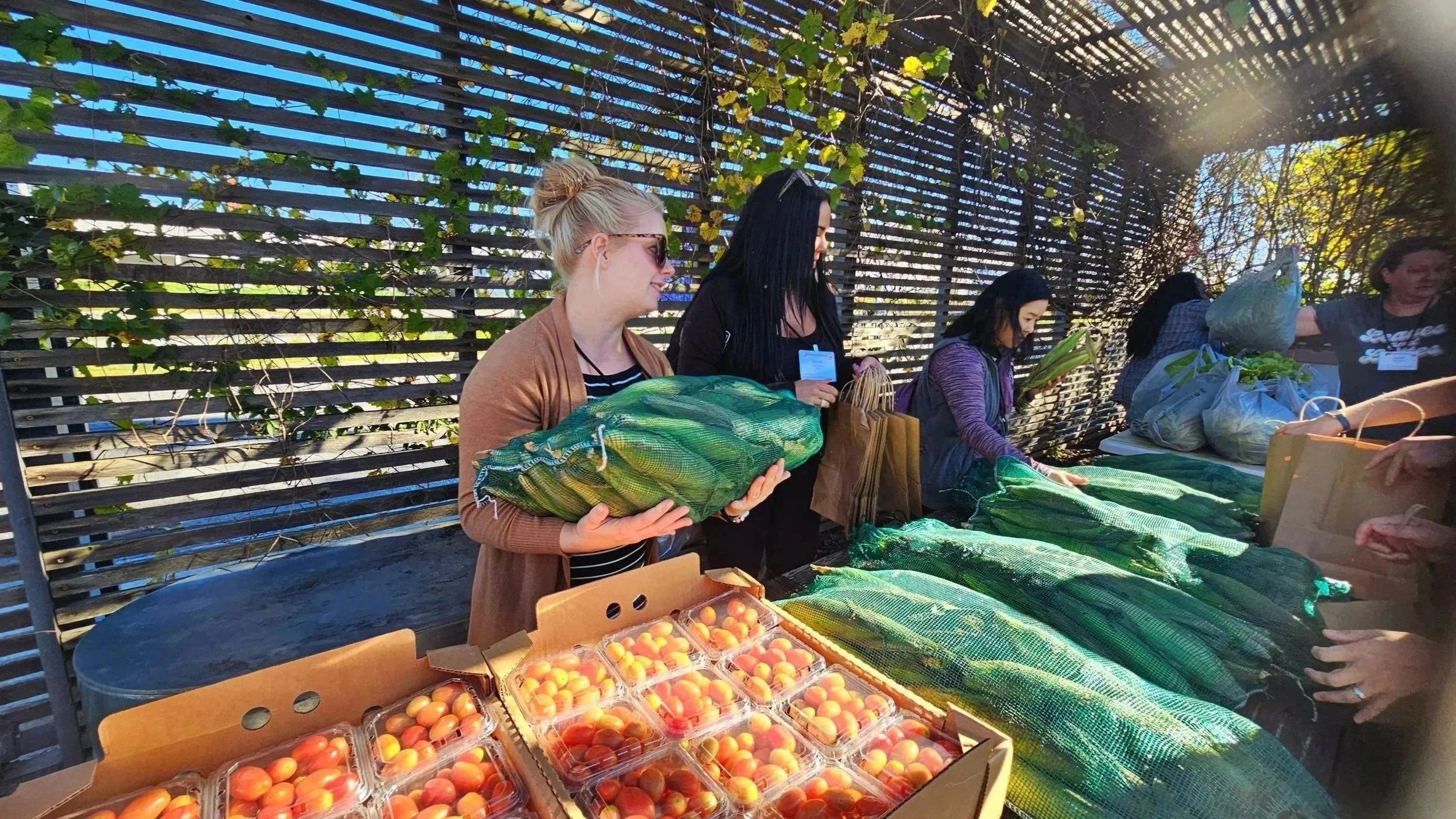 Growing Local Food Access in Early Child Care 