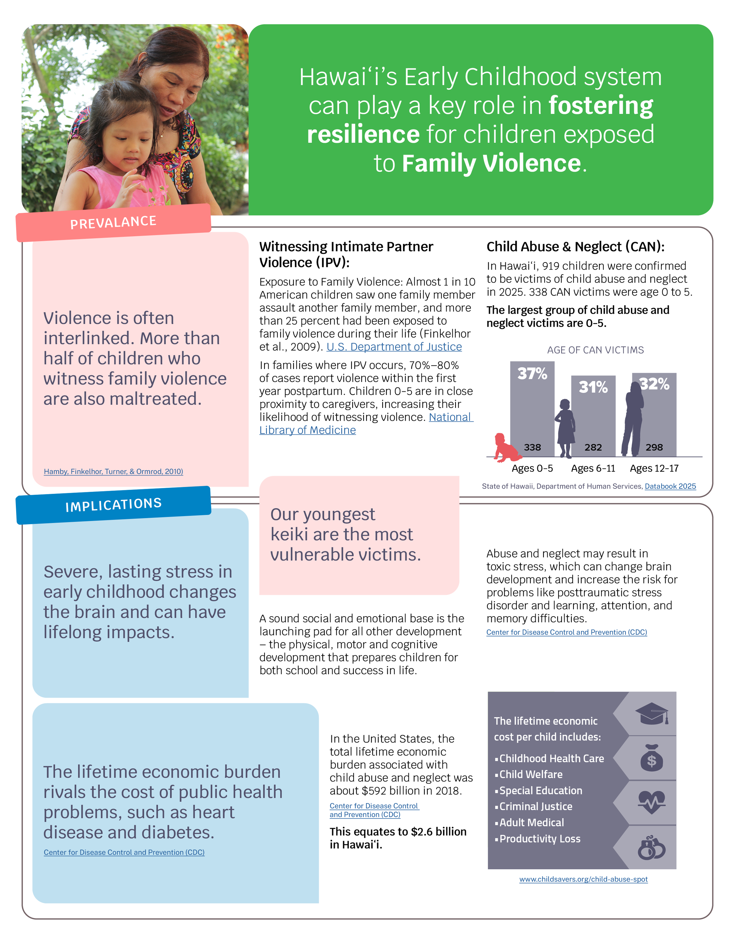 2026 Issue Brief: Family Violence (Copy)