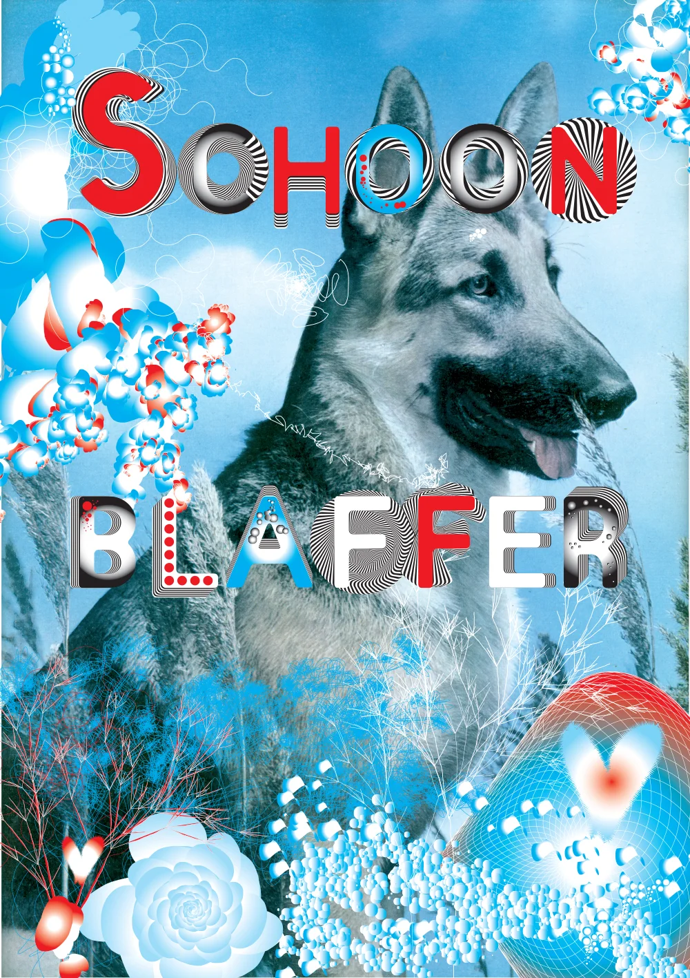 Schoonblaffer poster by Marenthe.jpg