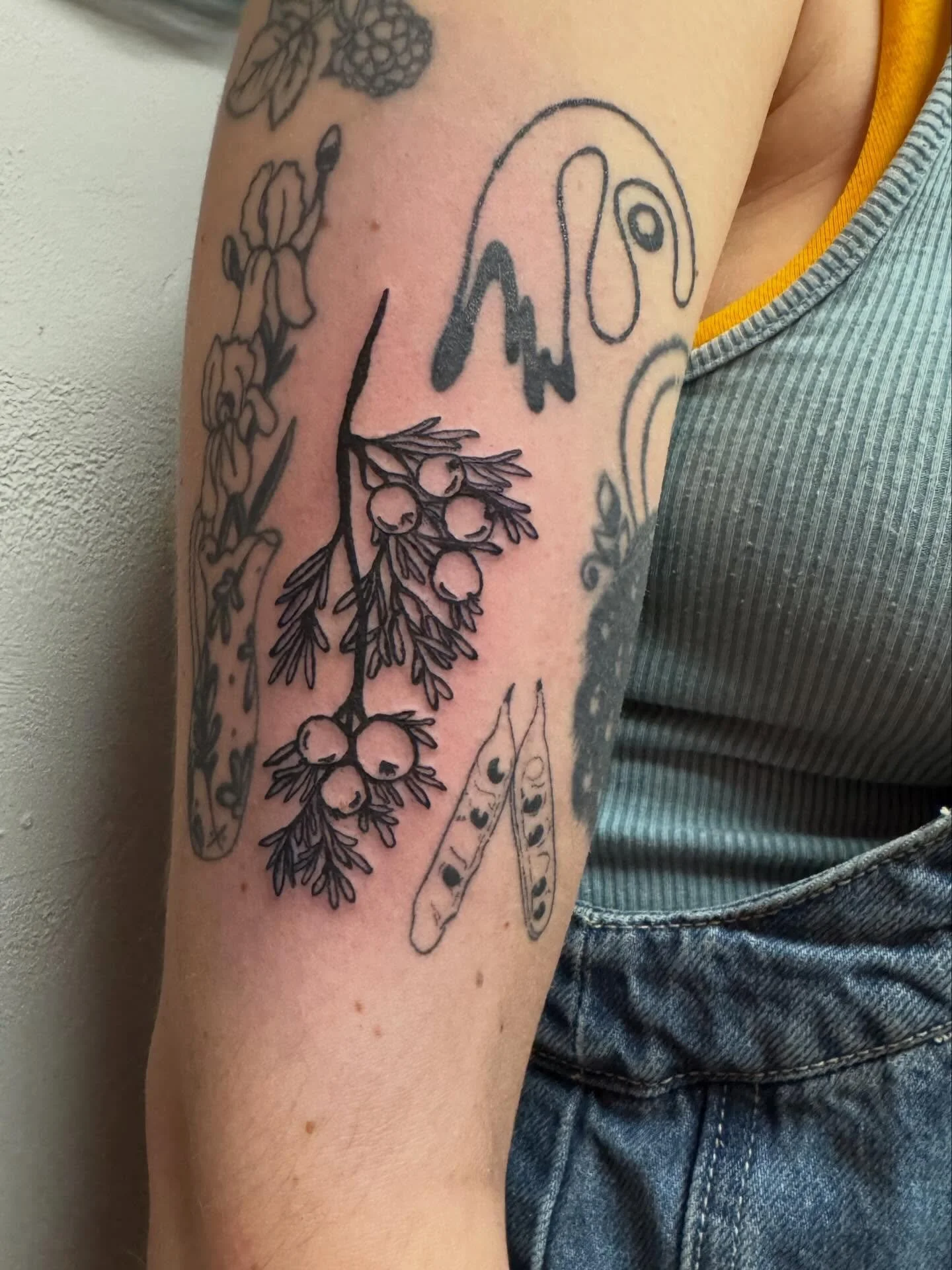 Projects, people, &amp; moments from February 🫶🏽