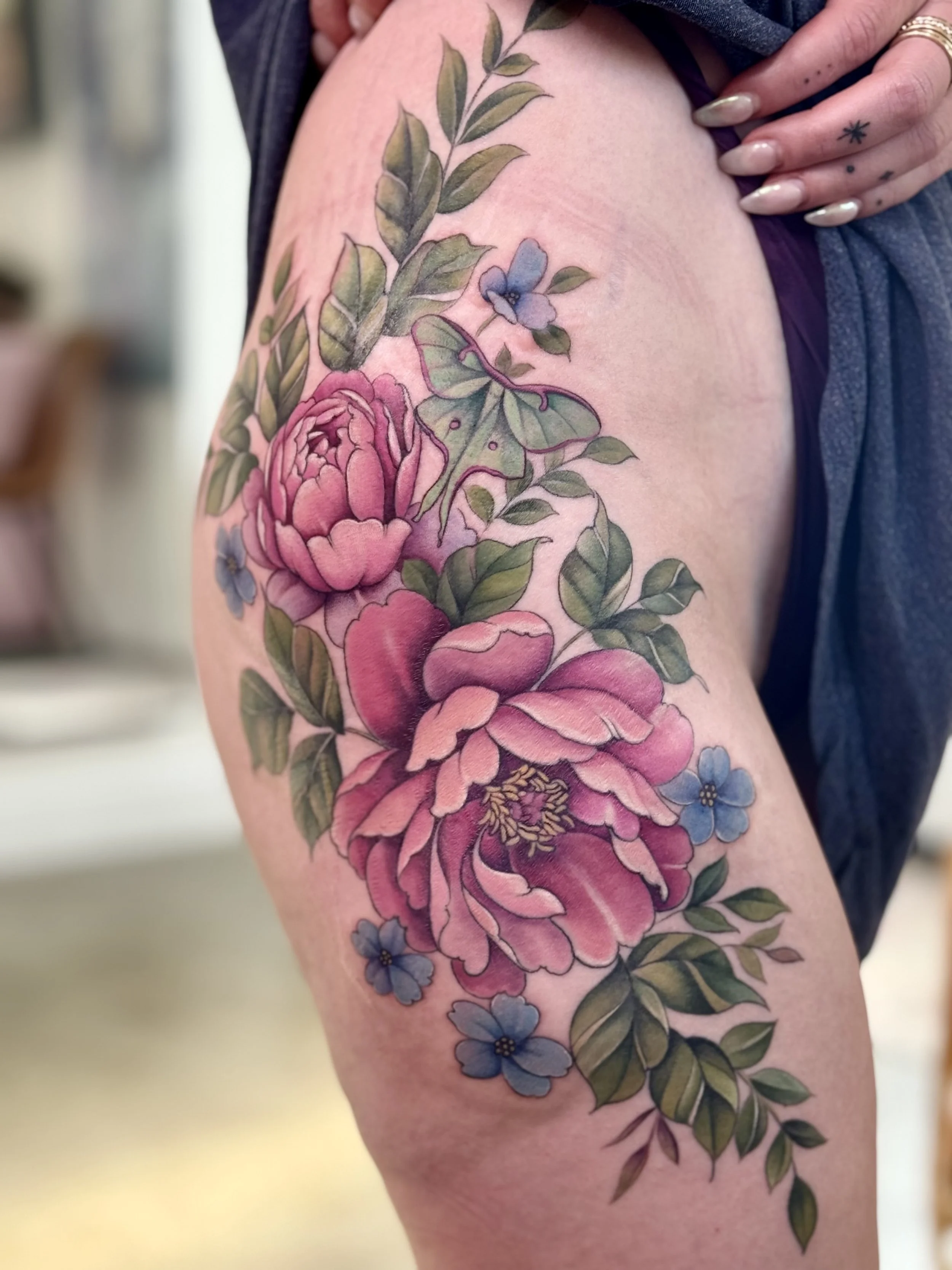 2.5 sessions (12 hours)