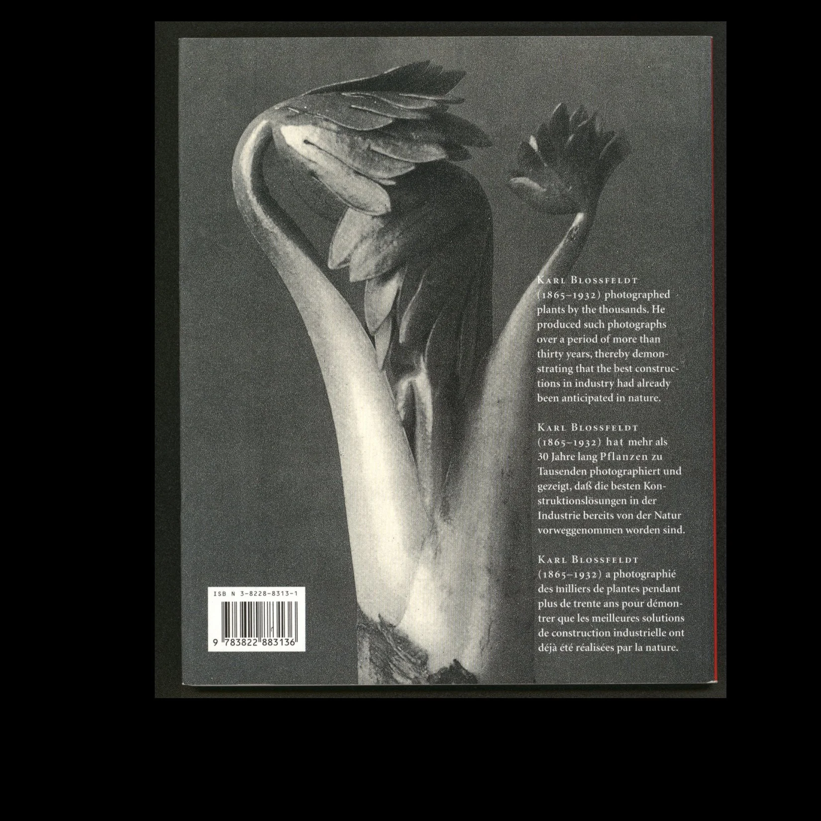 Blossfeldt Taschen Back.jpg