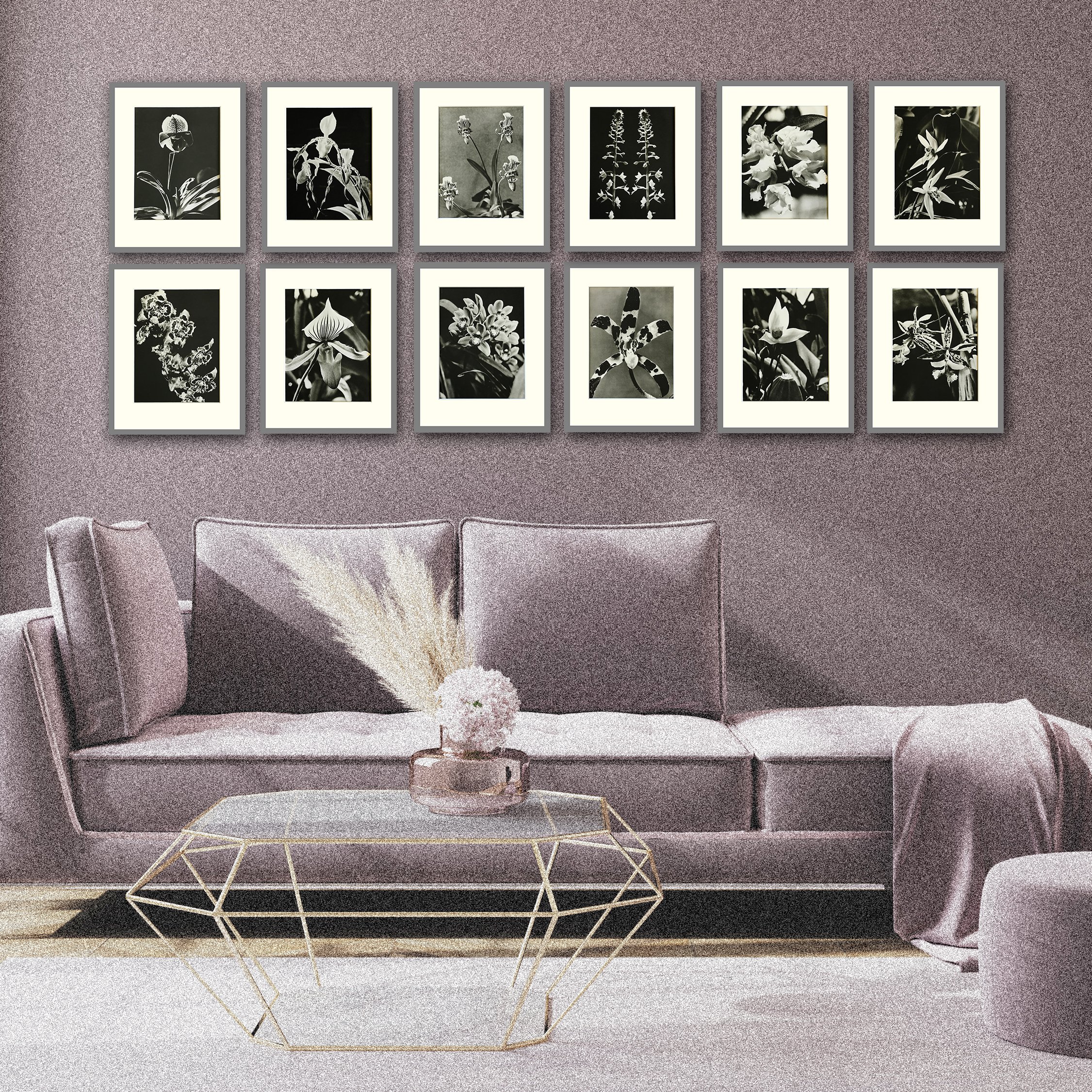 Orchids In Orchid Room Square.jpg