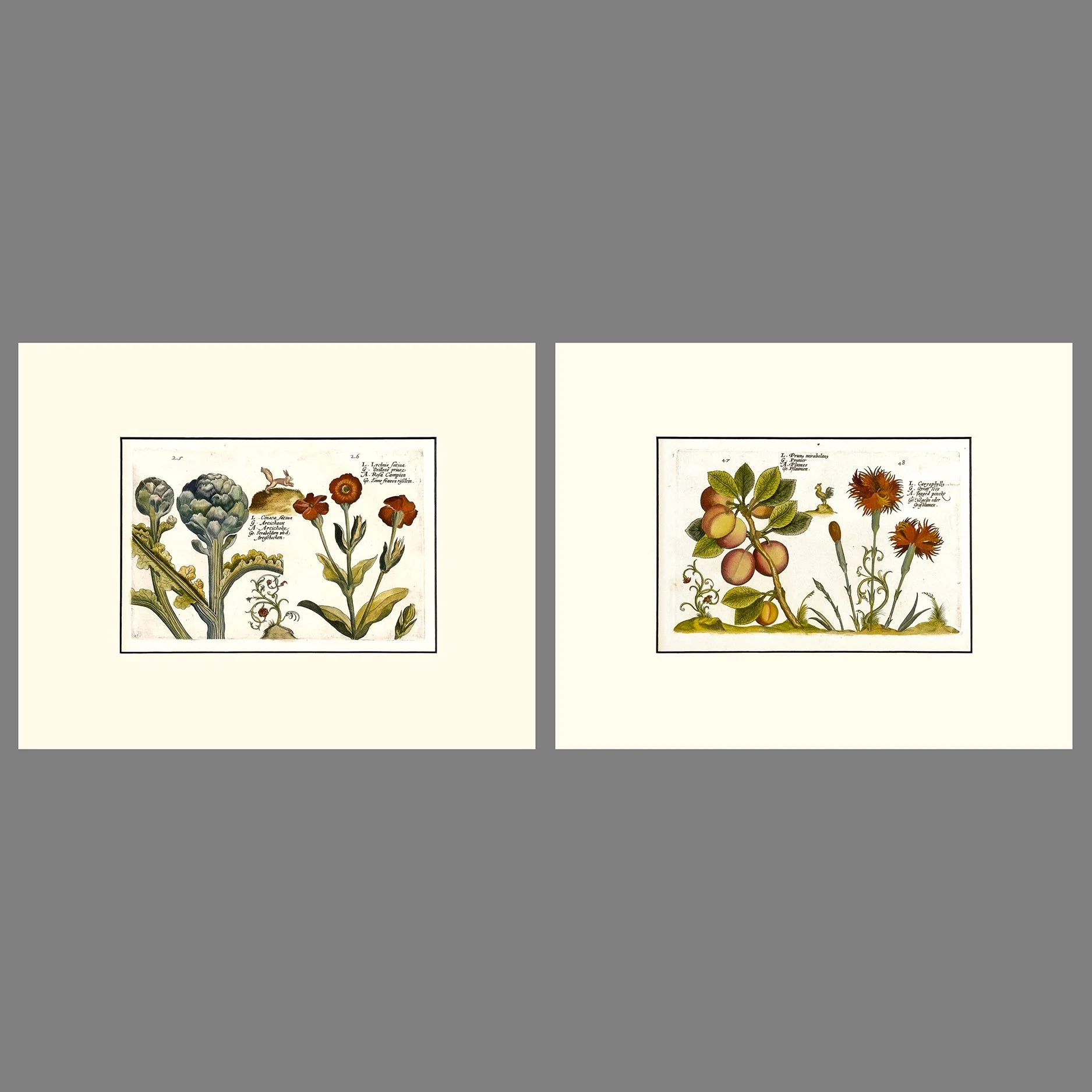 DePasse- Set Of Two Prints .jpg