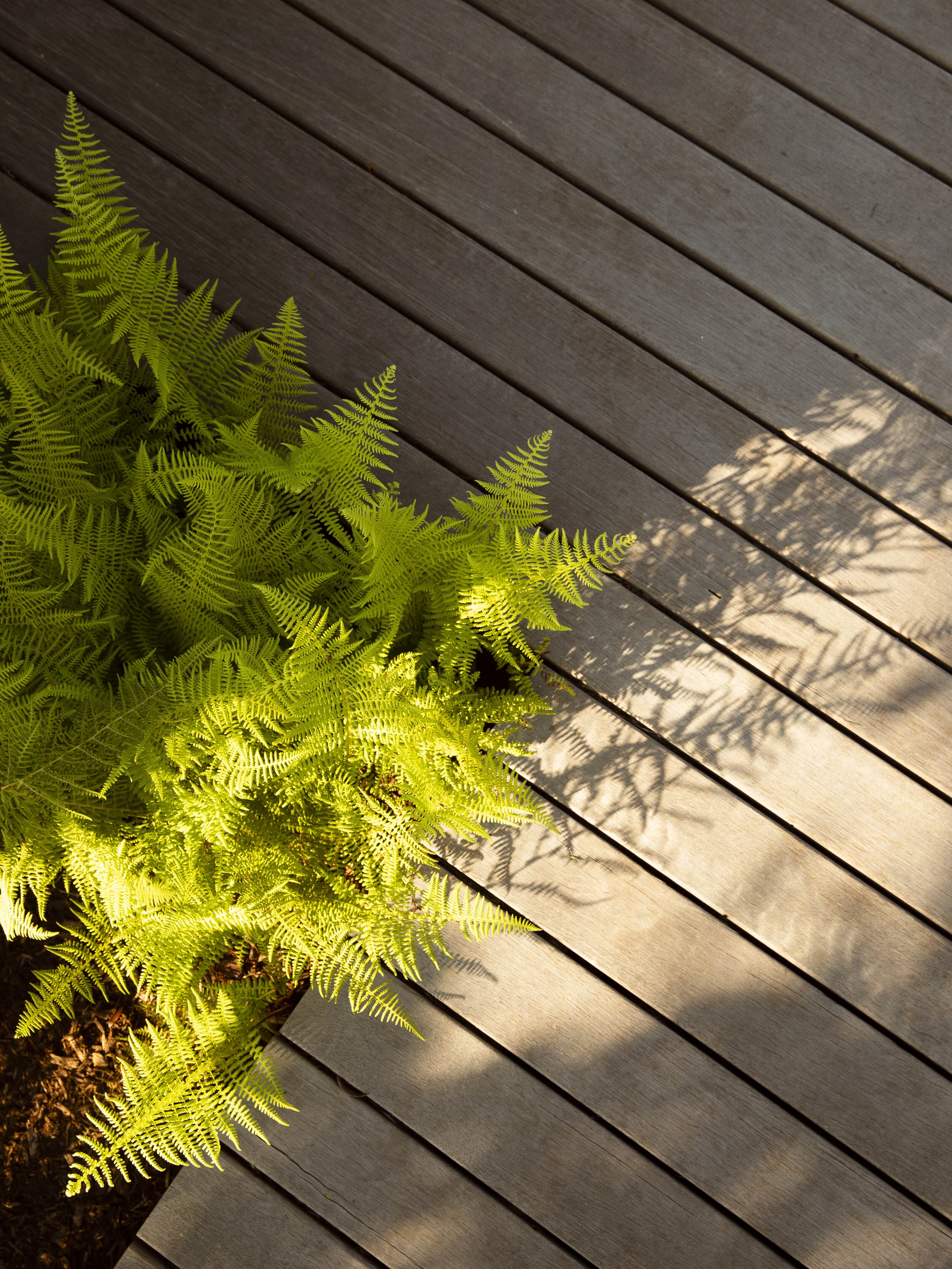 HWP Amenities-22 copy.jpg