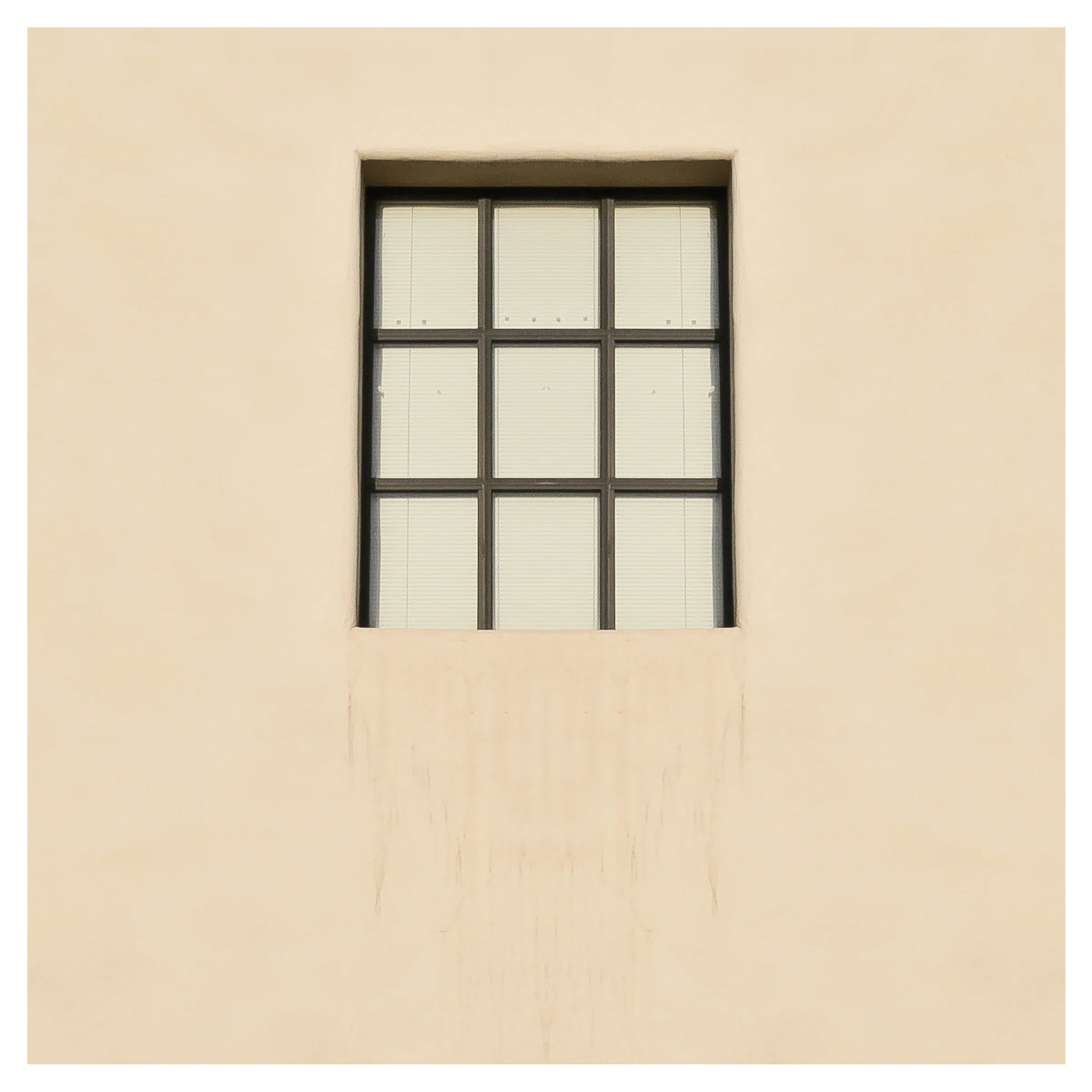 Window.jpg