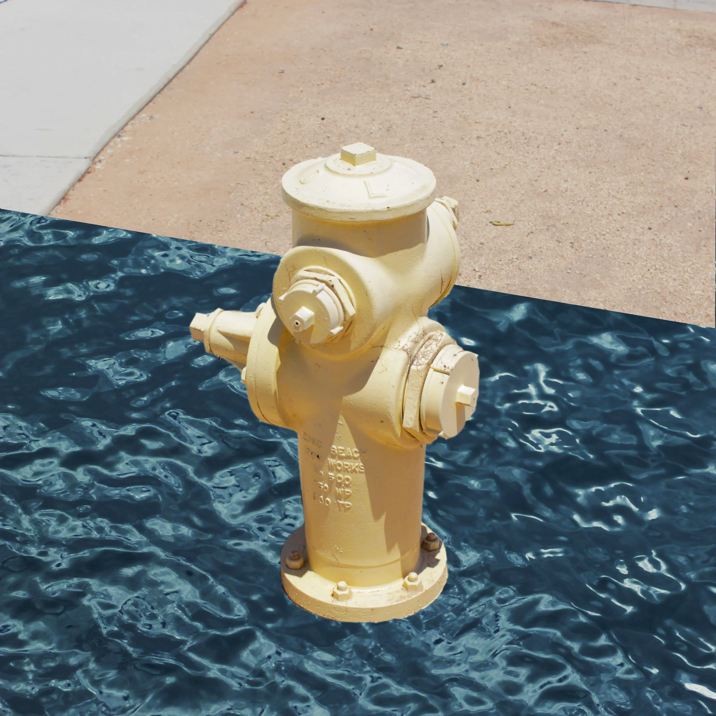 IMG_1293lr copy3 copy.jpg