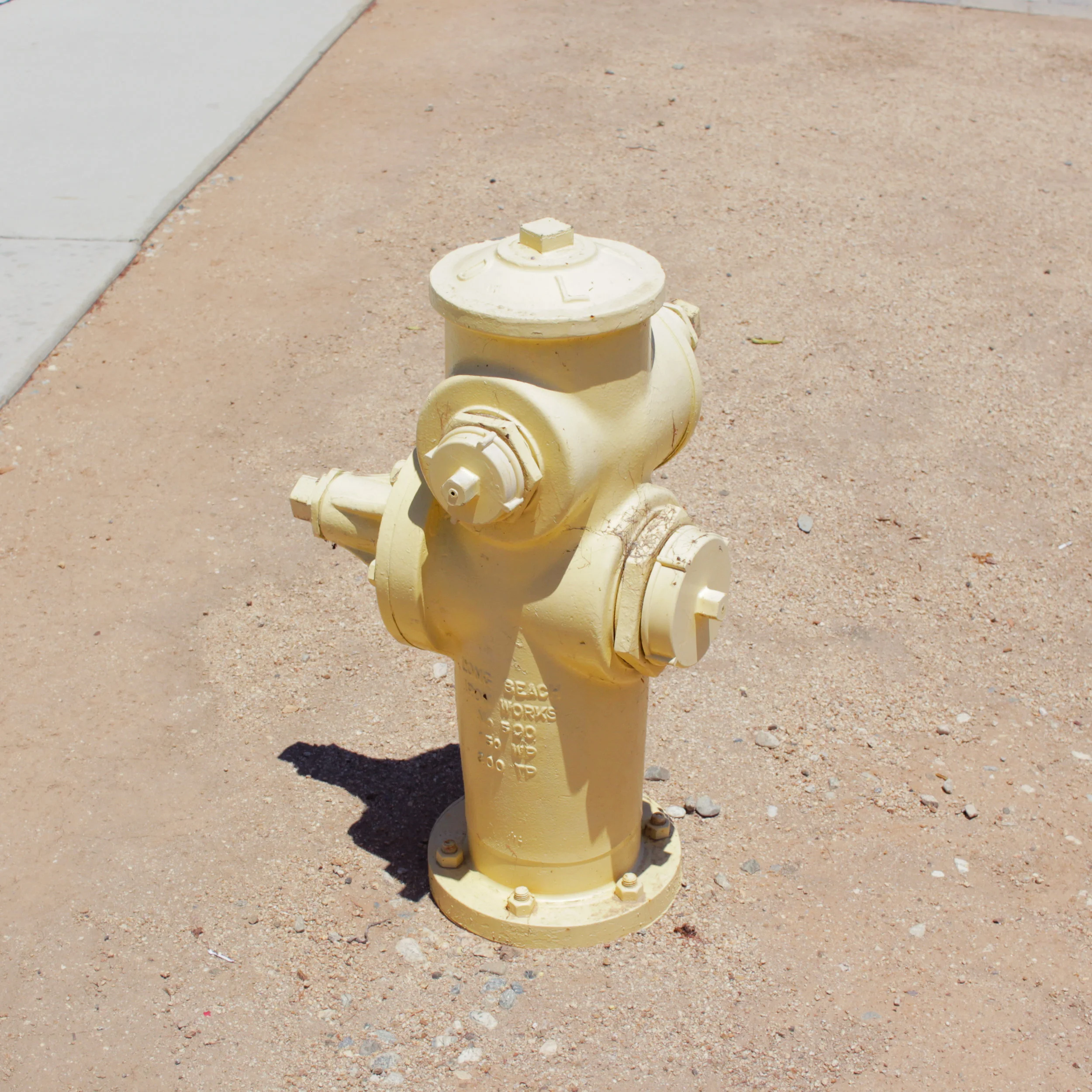 IMG_1293lr copy01.jpg