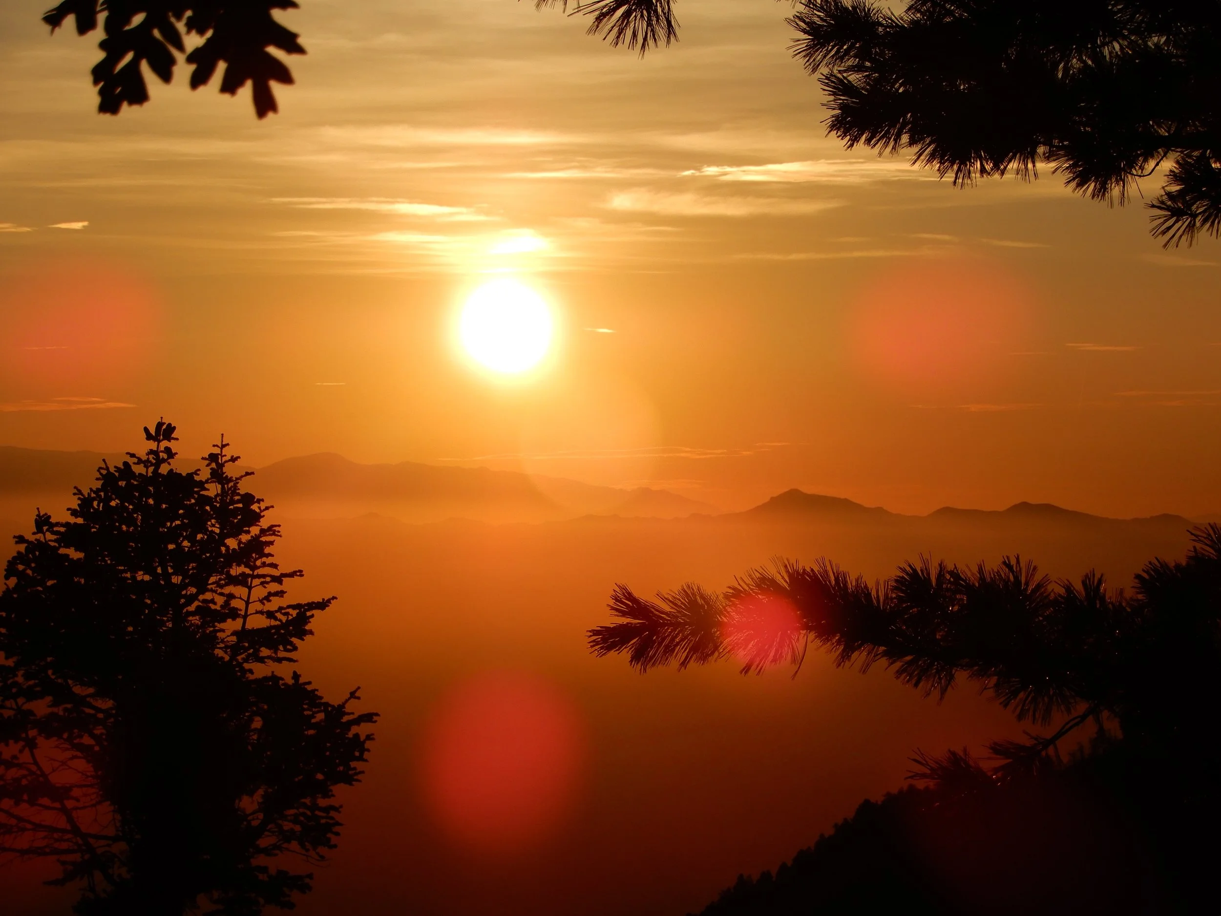 DSCN1537.jpg
