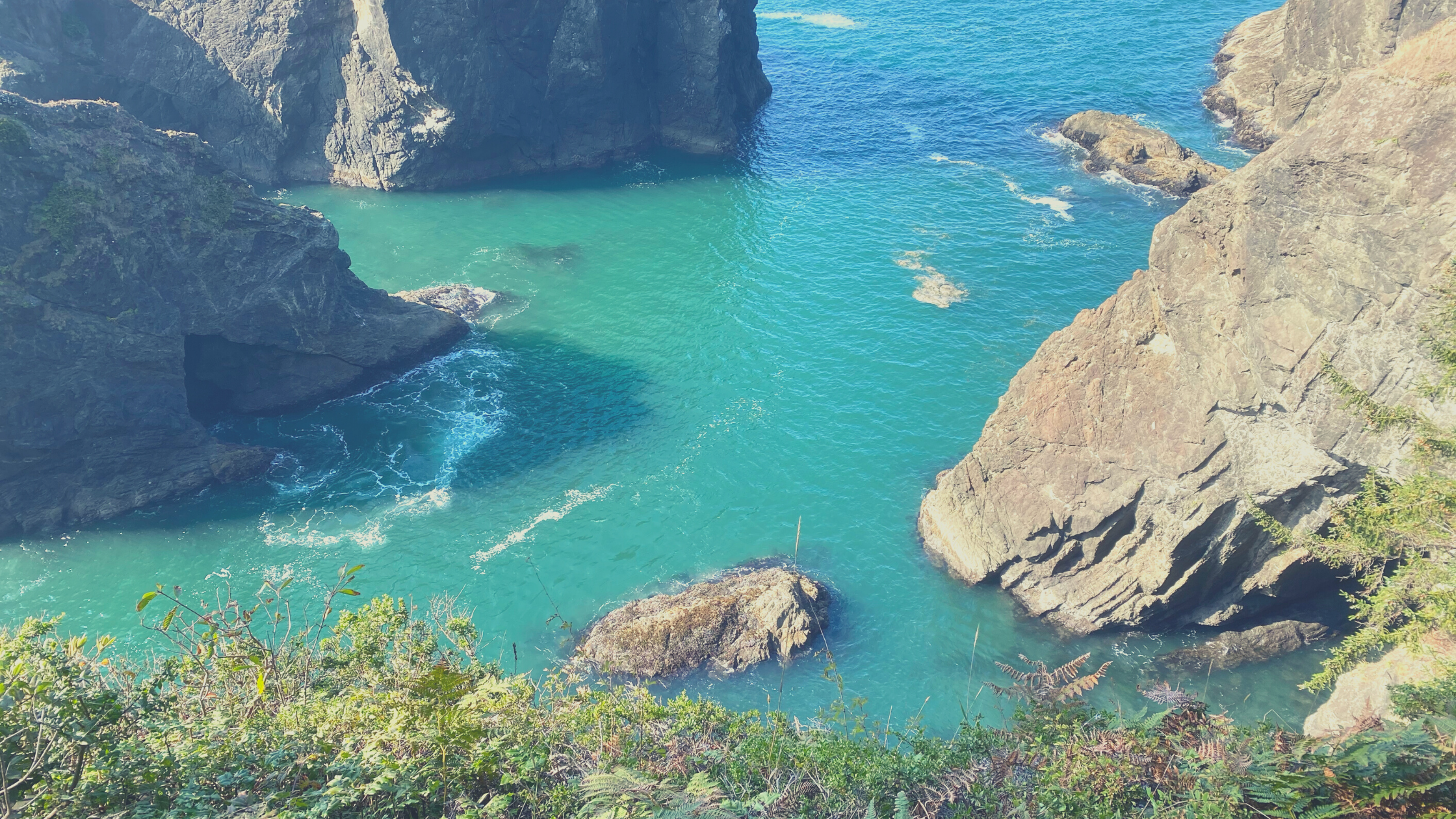 oregon coast banner.png
