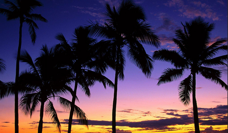 Screen Shot 2017-10-23 at 12.41.05 AM.png