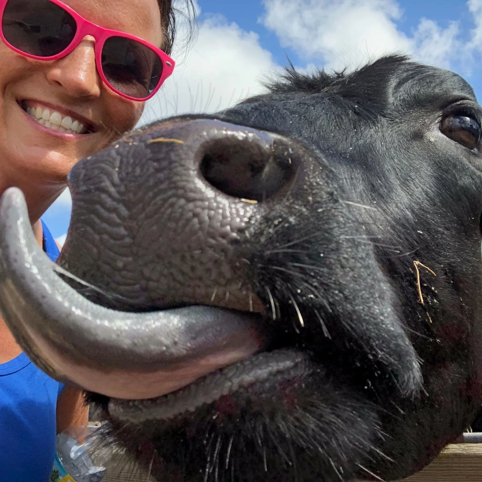 petting-zoo-fun-obloy-family-ranch.jpg