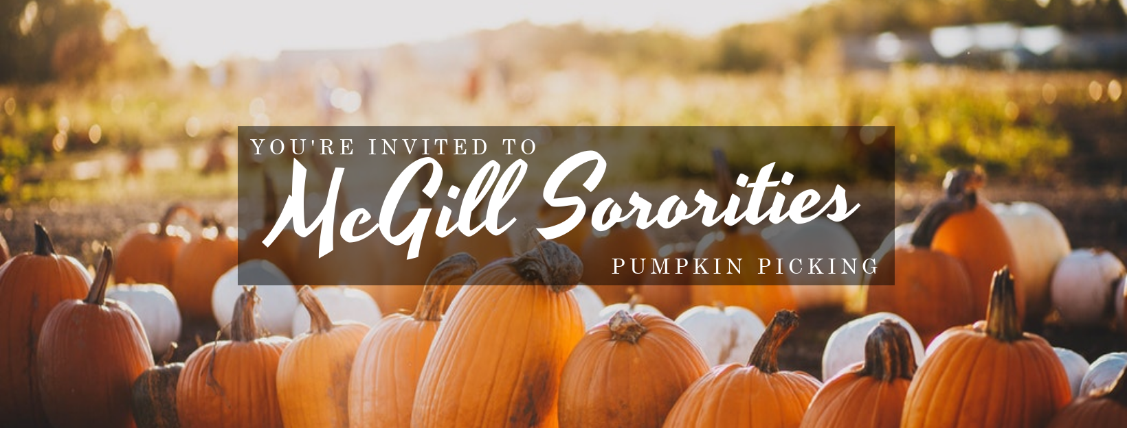 McGill Sororities Pumpkin Picking