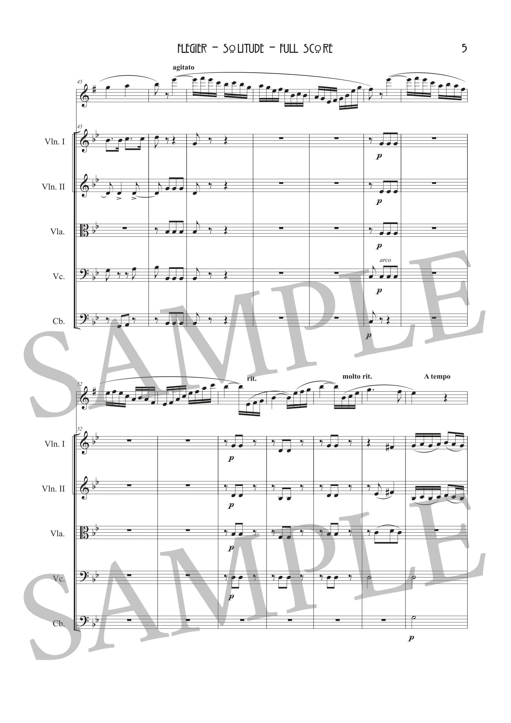 FLÉGIER - SOLITUDE (ORCH) - SCORE SAMPLE-5.jpg