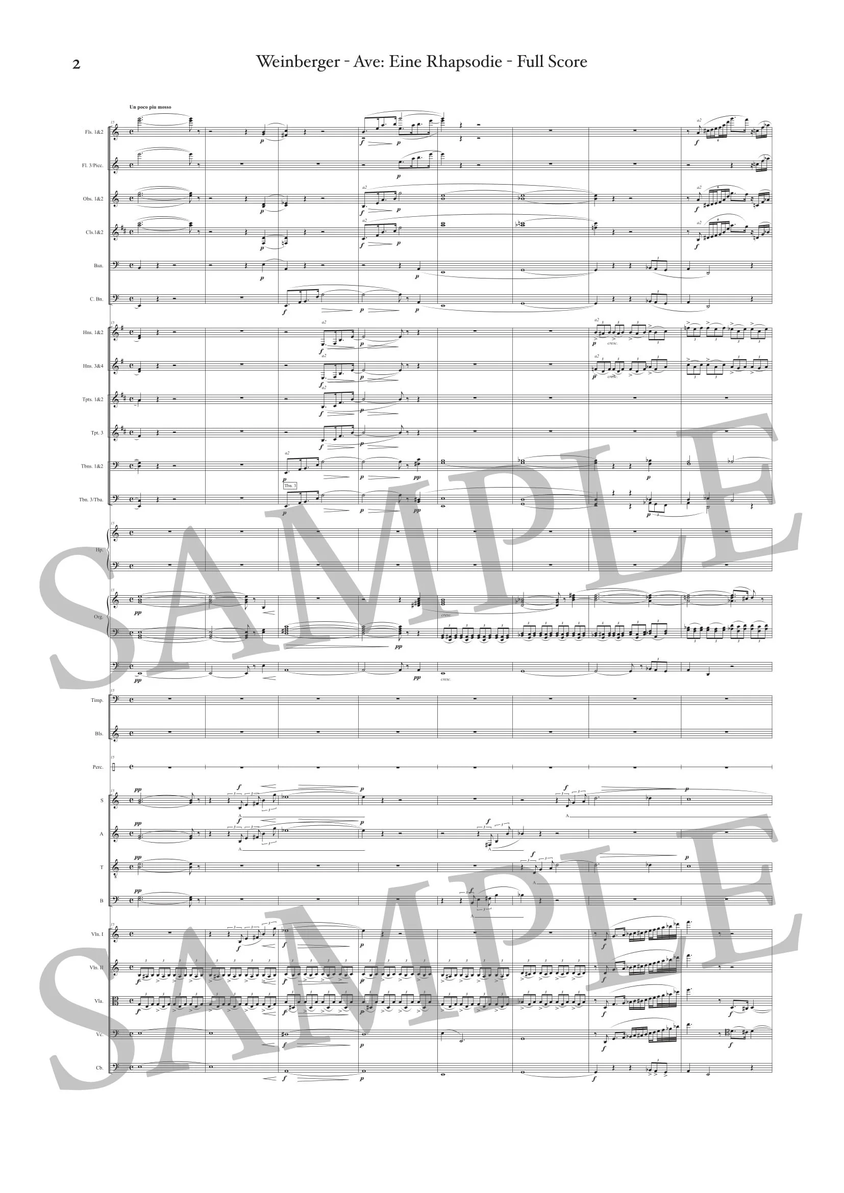 WEINBERGER - AVE - SCORE SAMPLE-2.jpg