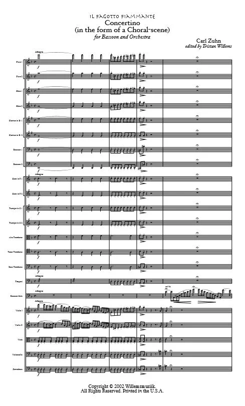 CONCERTINO SCORE.JPG