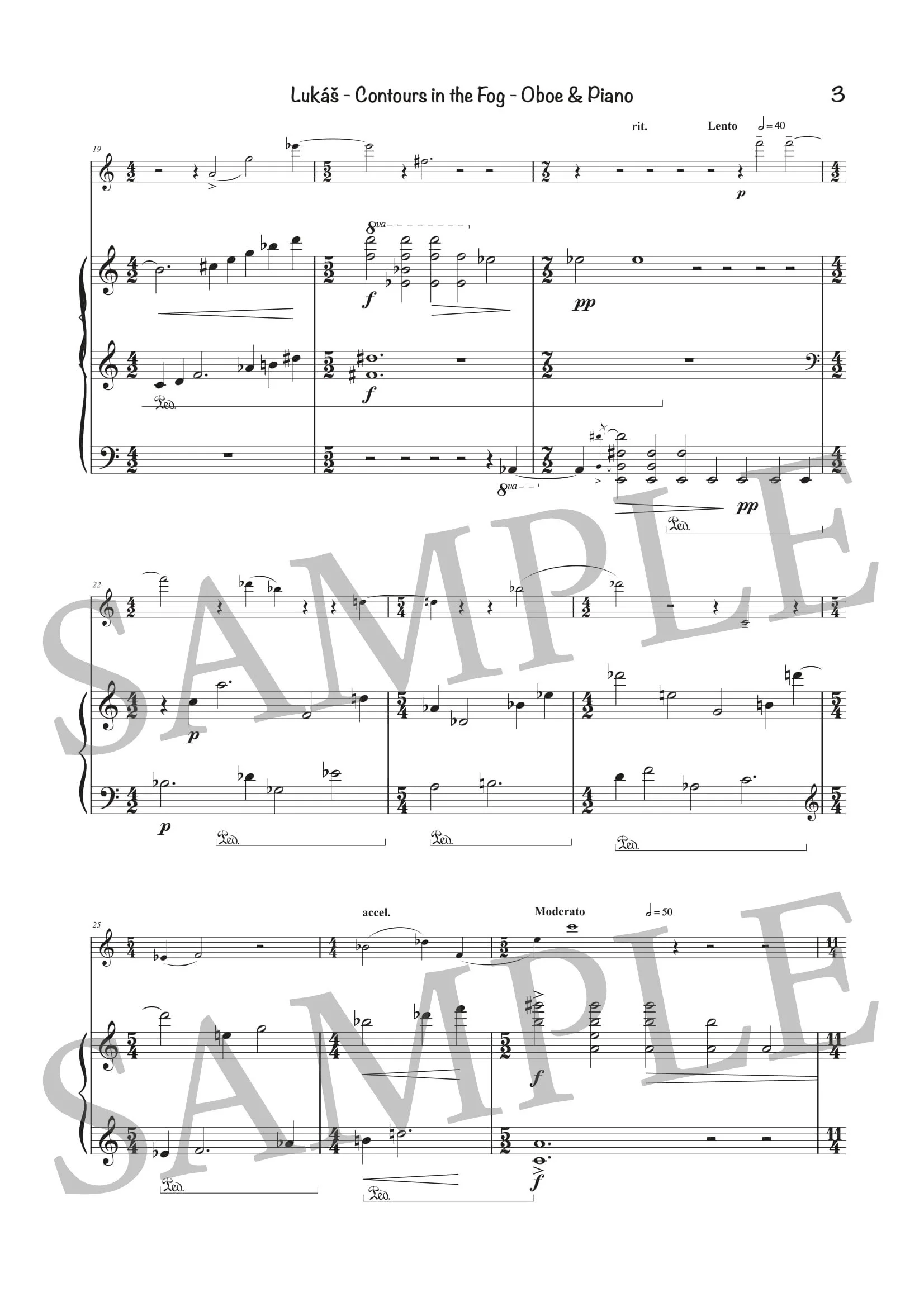 LUKÁŠ - CONTOURS - SCORE SAMPLE-3.jpg