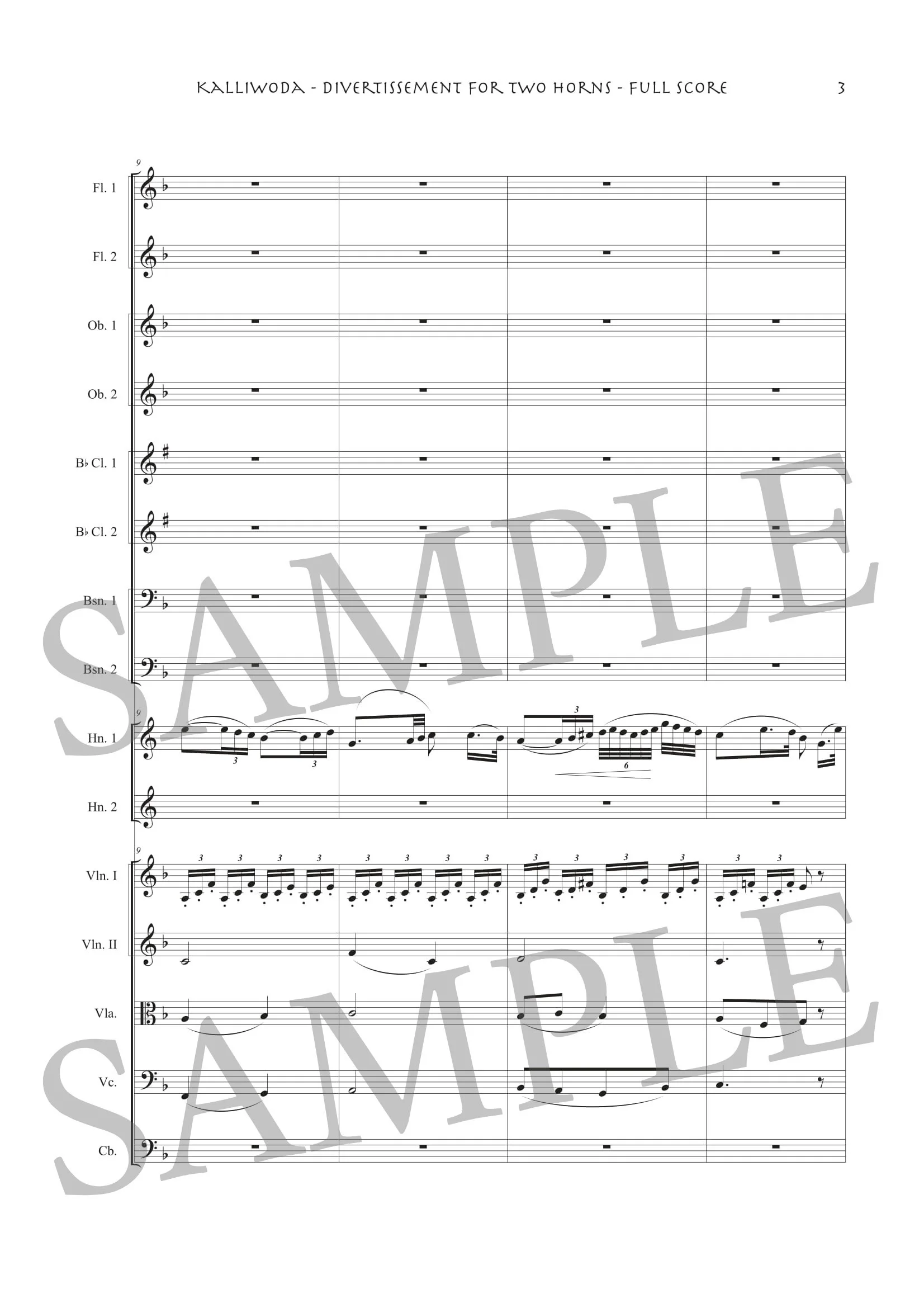 KALLIWODA - Divertissement (Orch) - SCORE SAMPLE-3.jpg