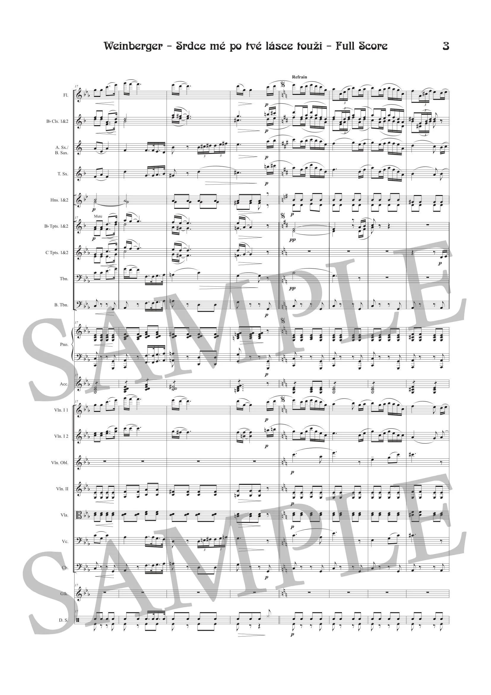 WEINBERGER - SRDCE - SCORE SAMPLE-3.jpg