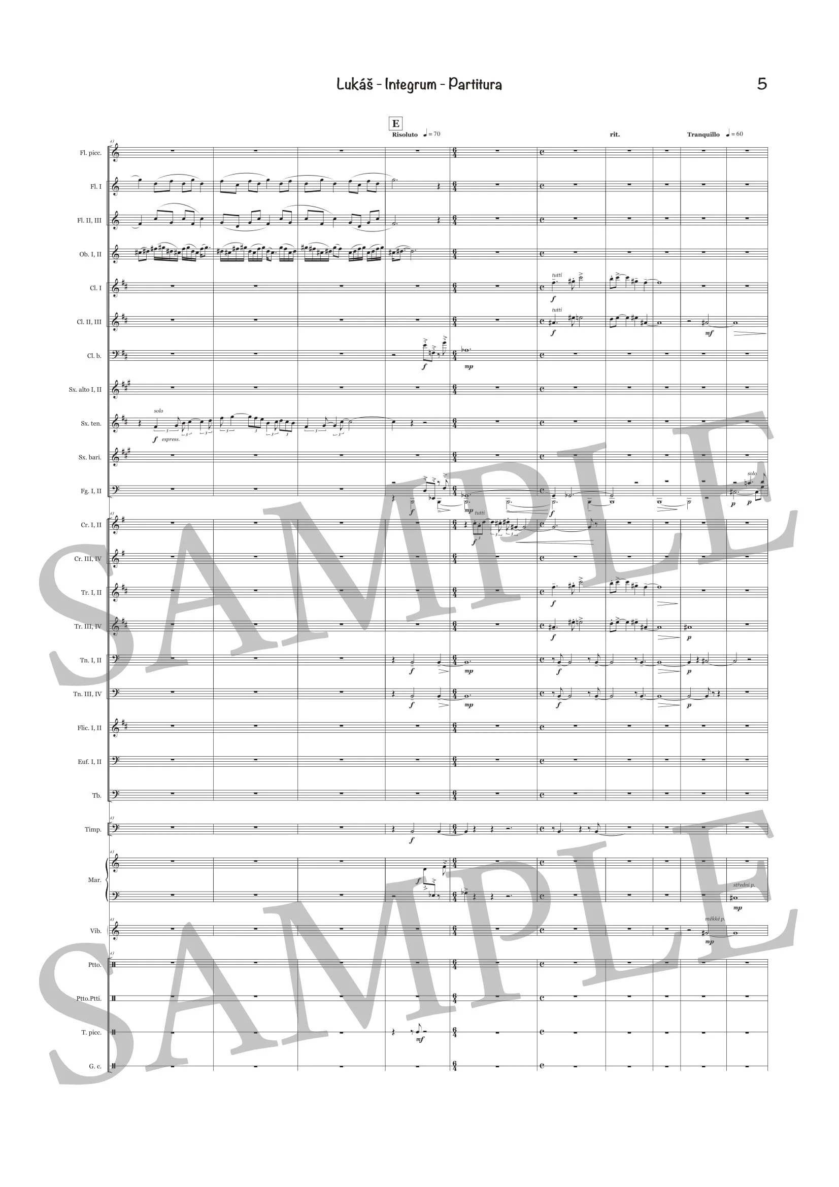 LUKÁŠ - INTEGRUM - SCORE SAMPLE-5.jpg