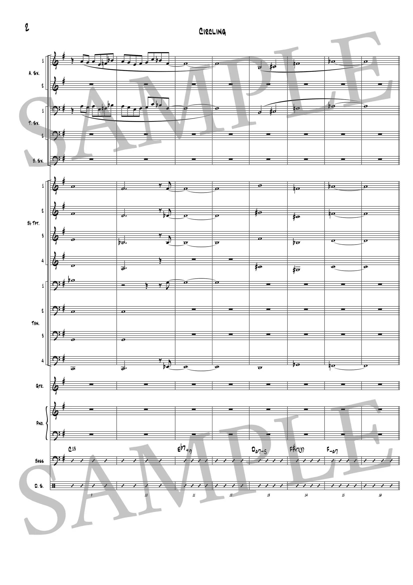 ACKERMAN - CIRCLING - SCORE SAMPLE-2.jpg