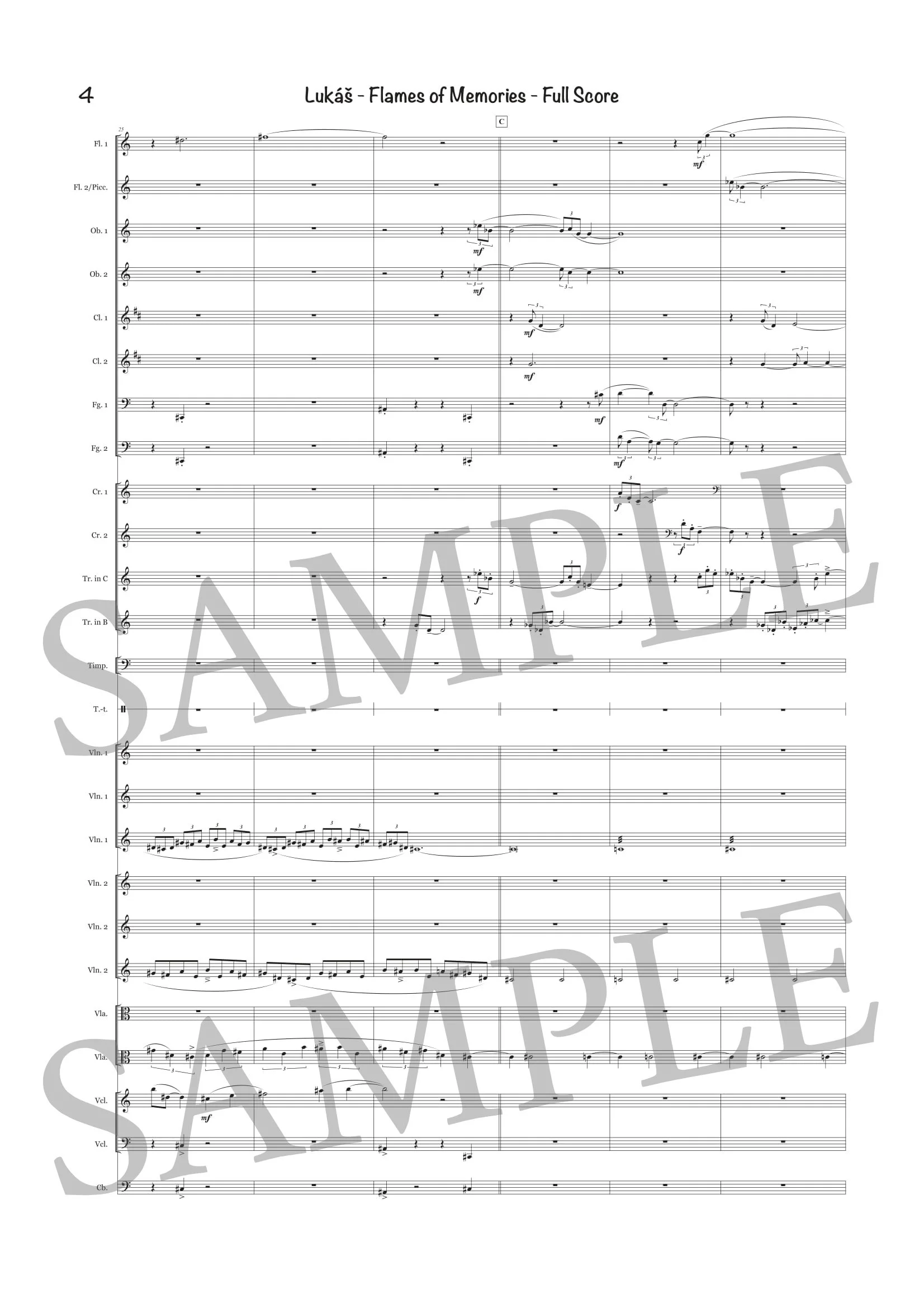LUKÁŠ - FLAMES OF MEMORIES - SCORE SAMPLE-4.jpg