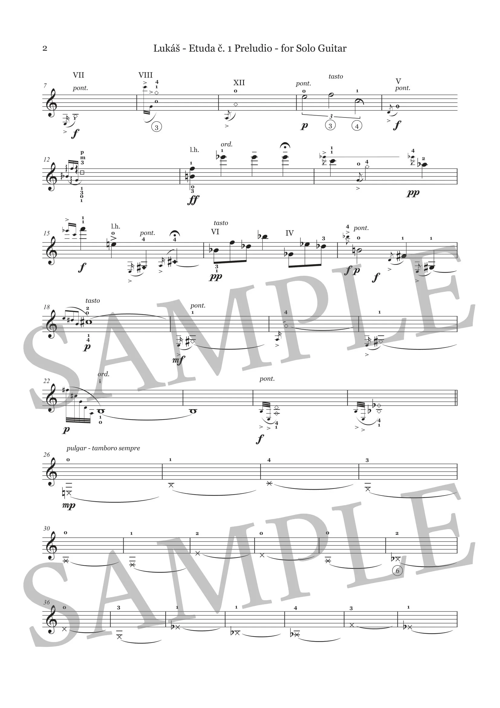 LUKÁŠ - PRELUDIO ARMONICO - SCORE SAMPLE-2.jpg