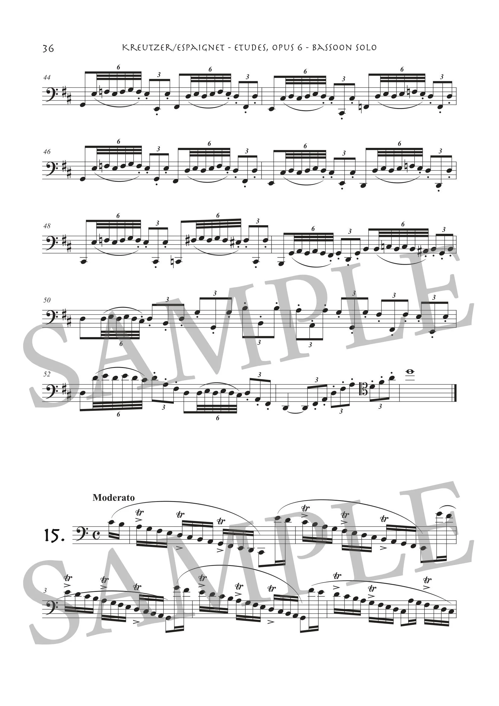 KREUTZER - ETUDES - SCORE SAMPLE-21.jpg
