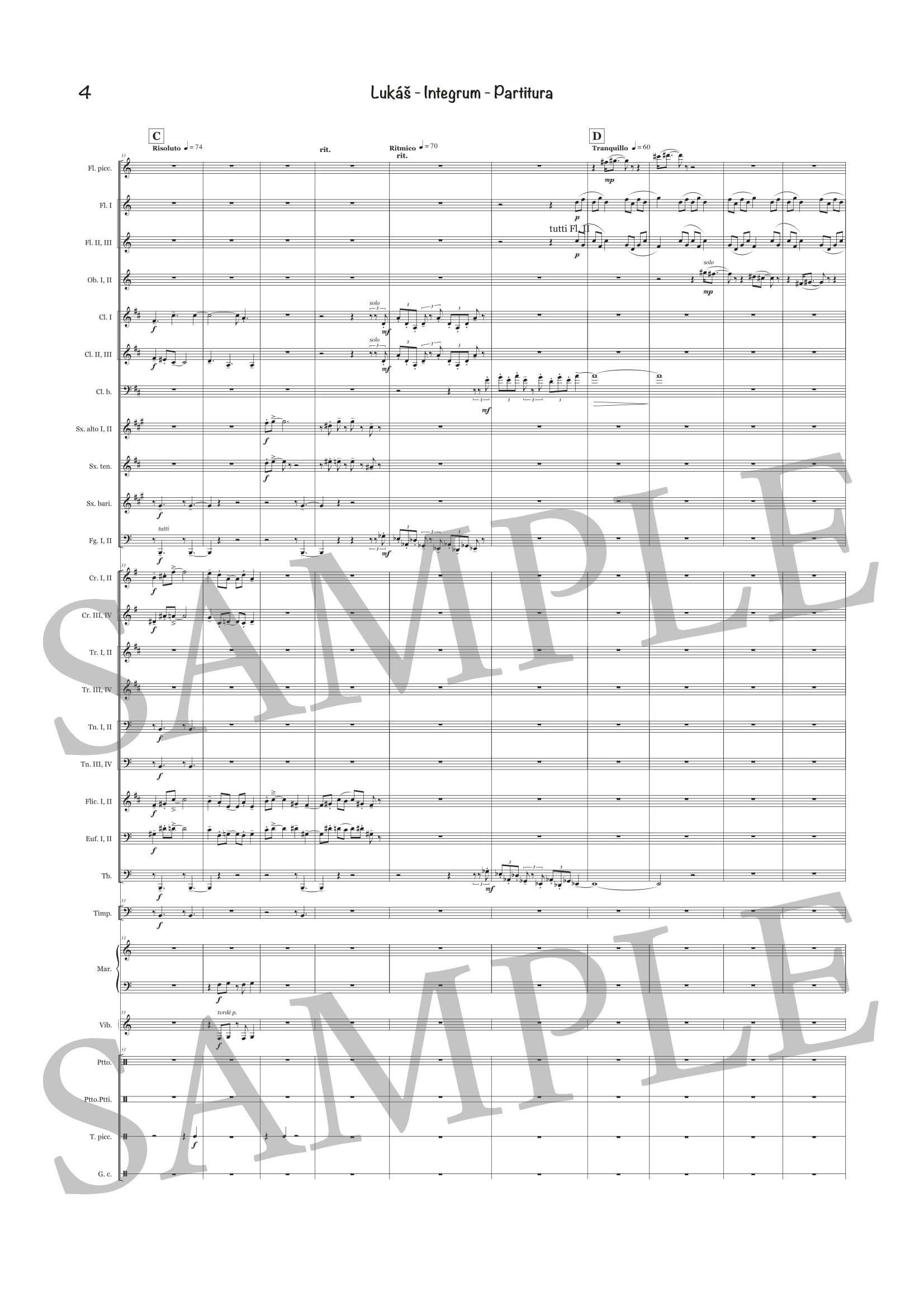 LUKÁŠ - INTEGRUM - SCORE SAMPLE-4.jpg