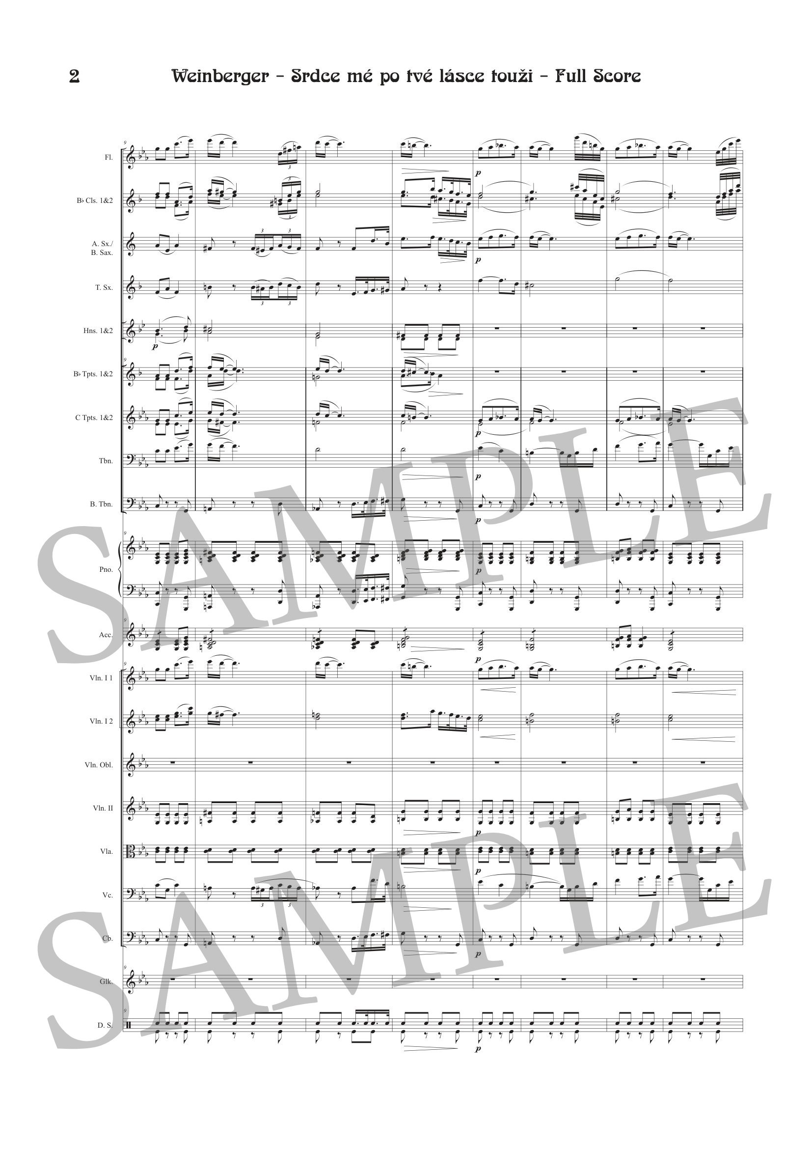 WEINBERGER - SRDCE - SCORE SAMPLE-2.jpg