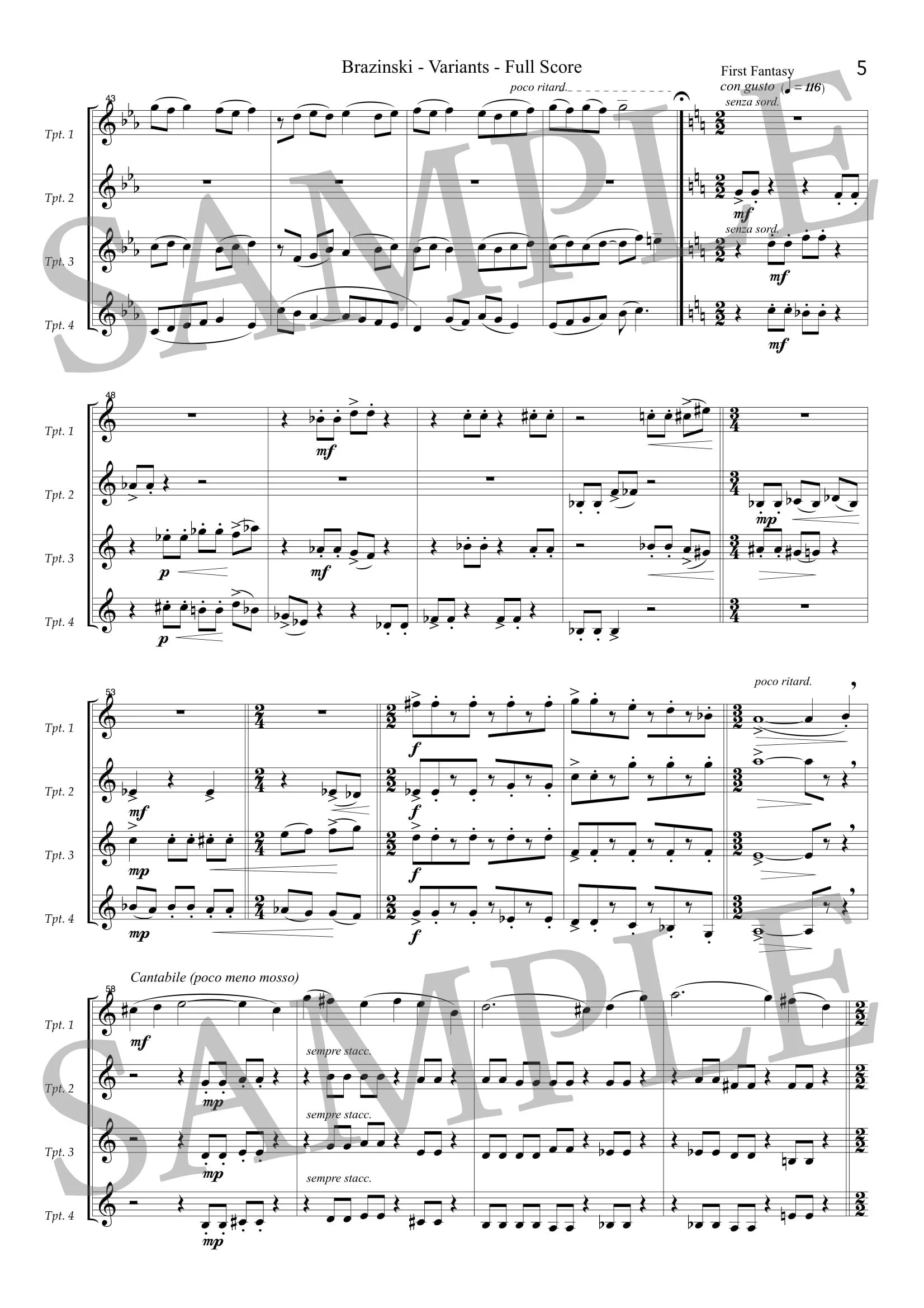 BRAZINSKI - VARIANTS - SCORE SAMPLE-3.jpg