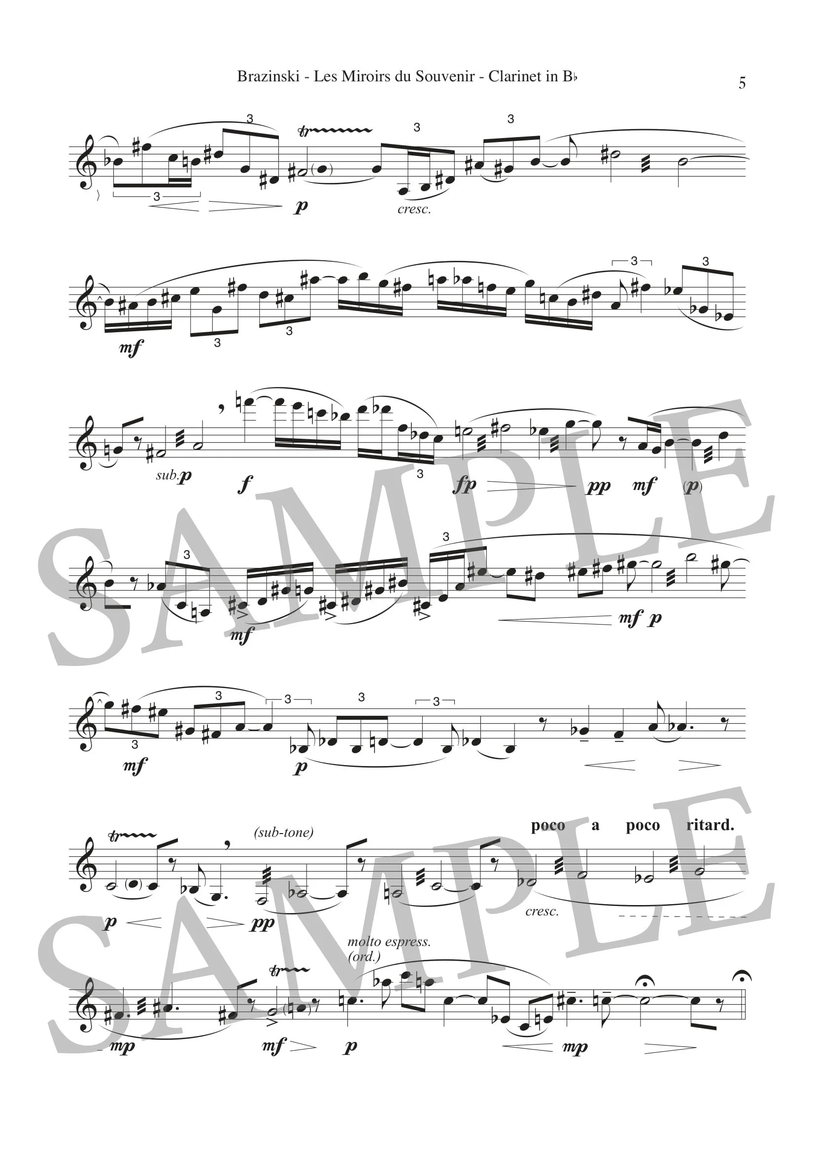 BRAZINSKI - LES MIROIRS DU SOUVENIR - SCORE SAMPLE-4.jpg