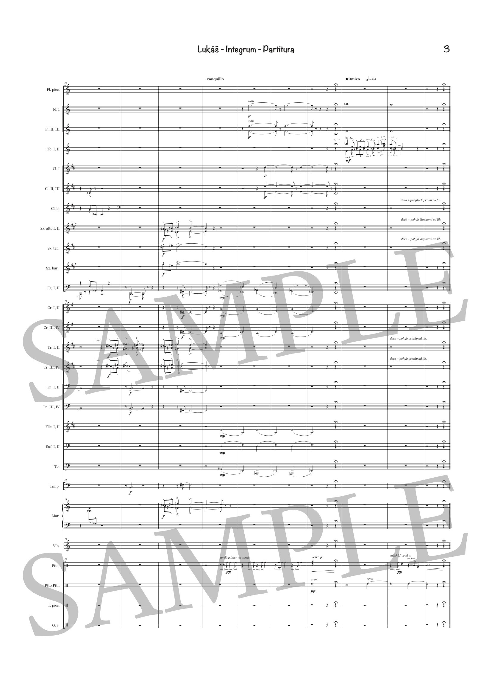 LUKÁŠ - INTEGRUM - SCORE SAMPLE-3.jpg