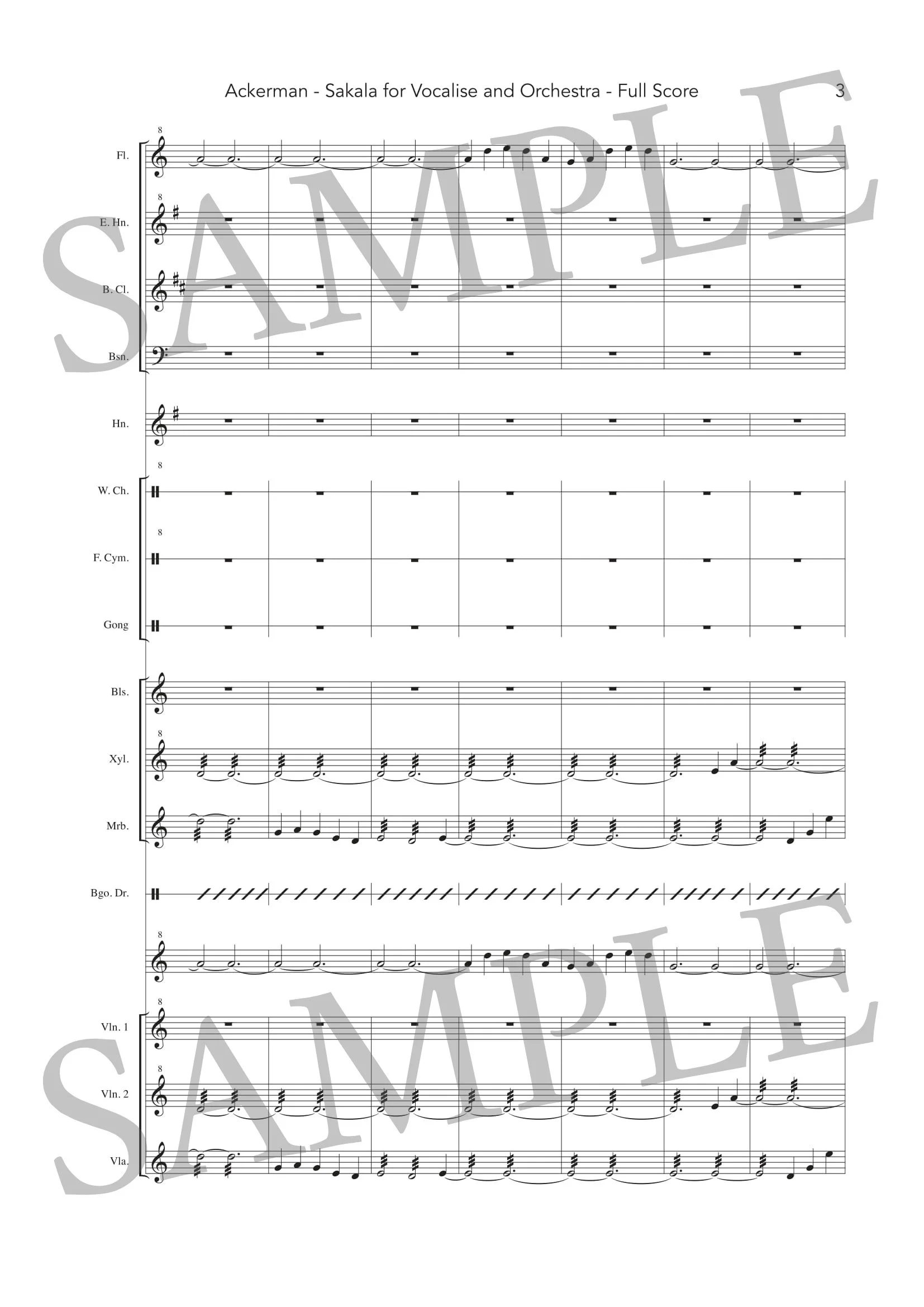 ACKERMAN - SAKALA - SCORE SAMPLE-2.jpg