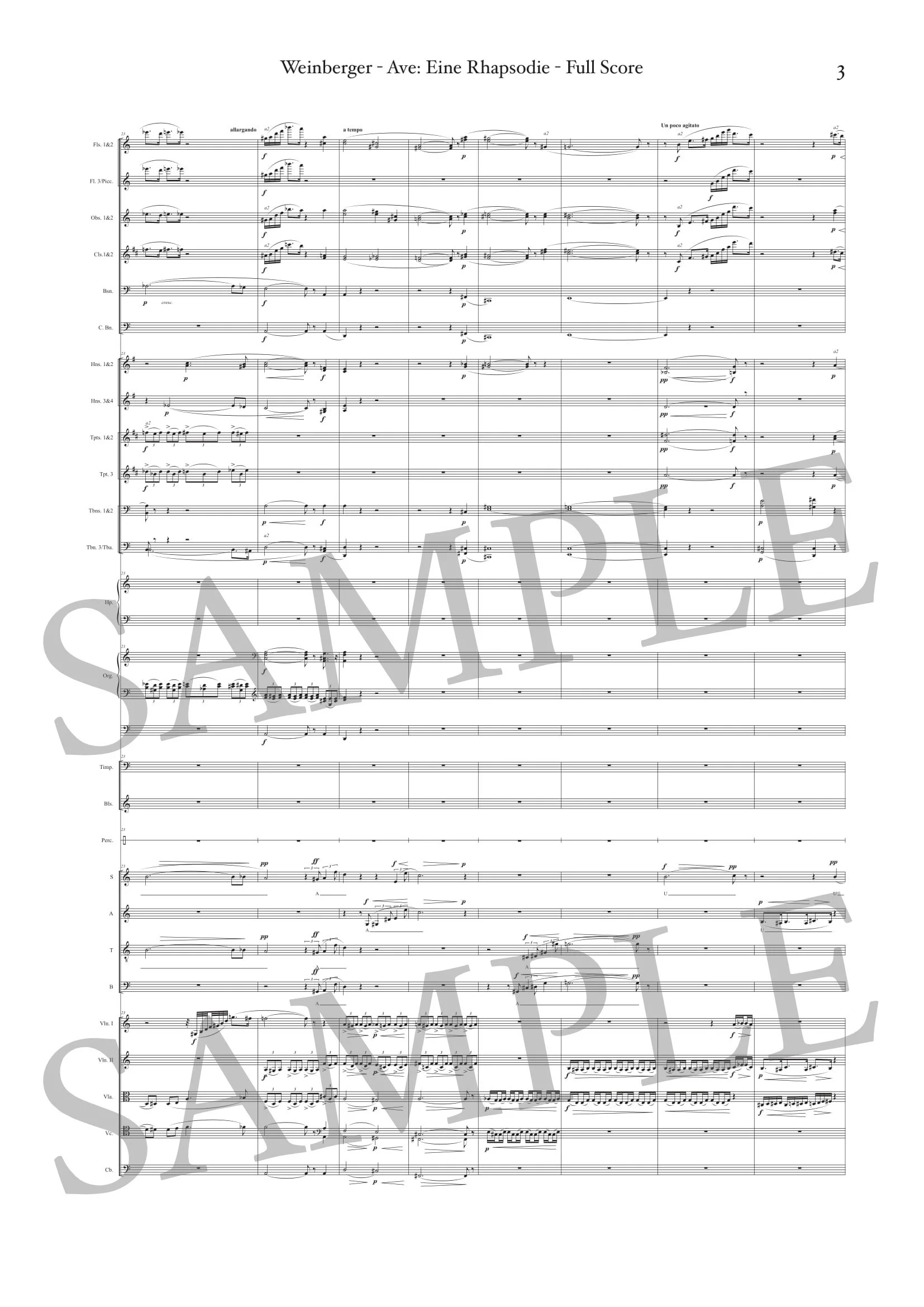 WEINBERGER - AVE - SCORE SAMPLE-3.jpg