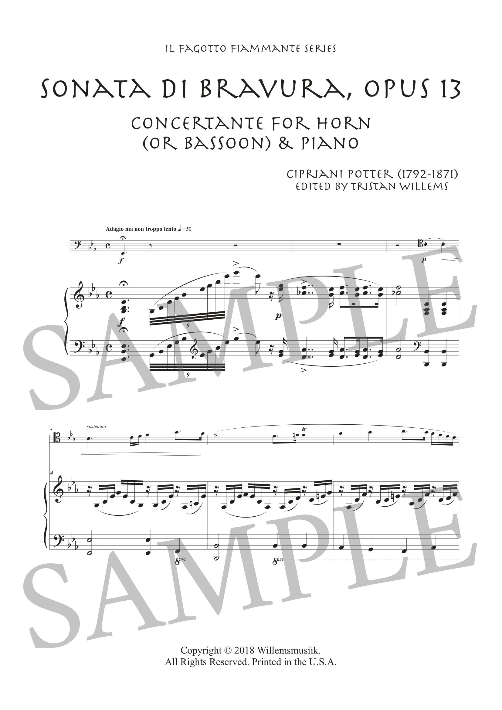 POTTER - BASSOON SONATA - SCORE SAMPLE-1.jpg