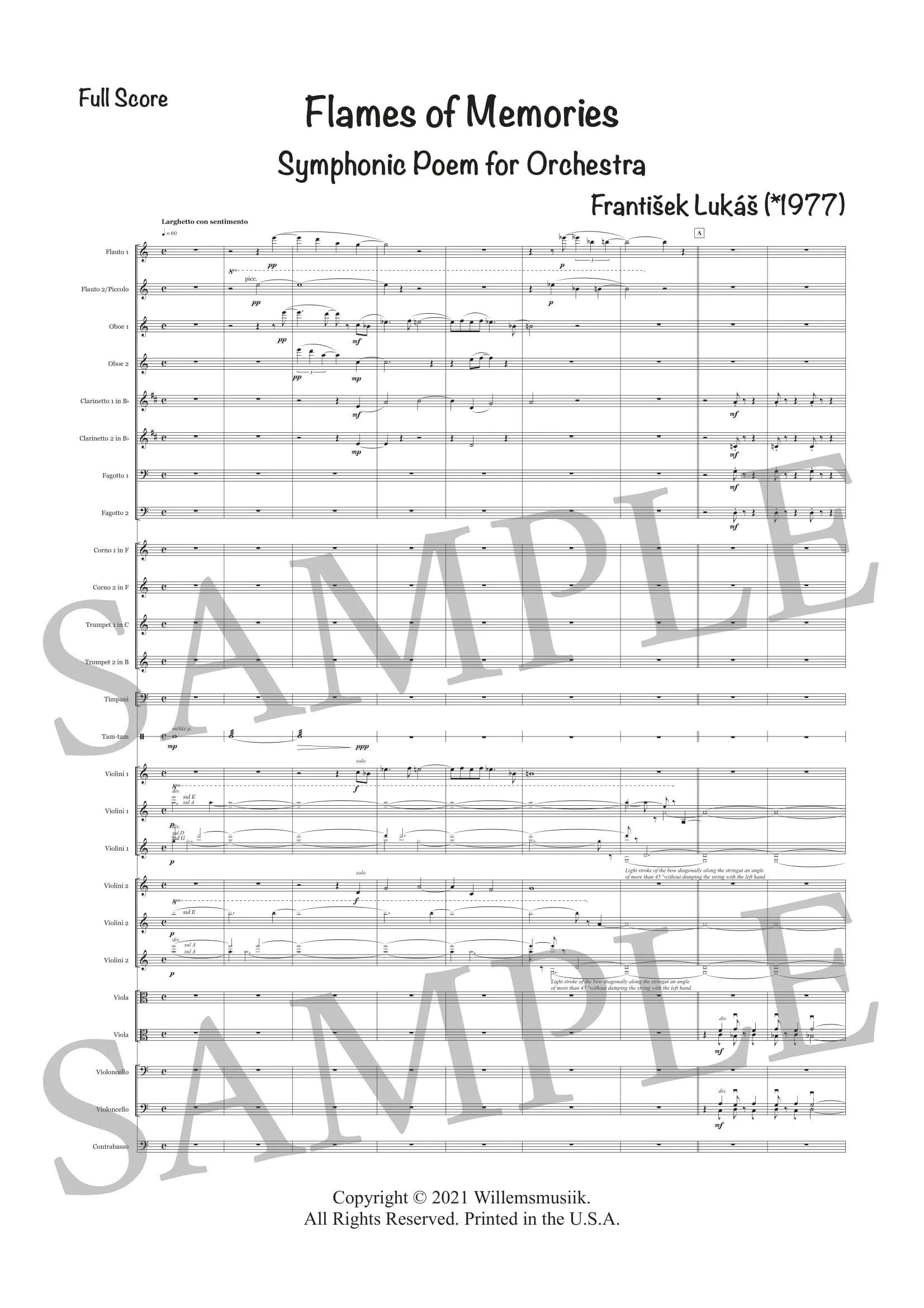 LUKÁŠ - FLAMES OF MEMORIES - SCORE SAMPLE-1.jpg