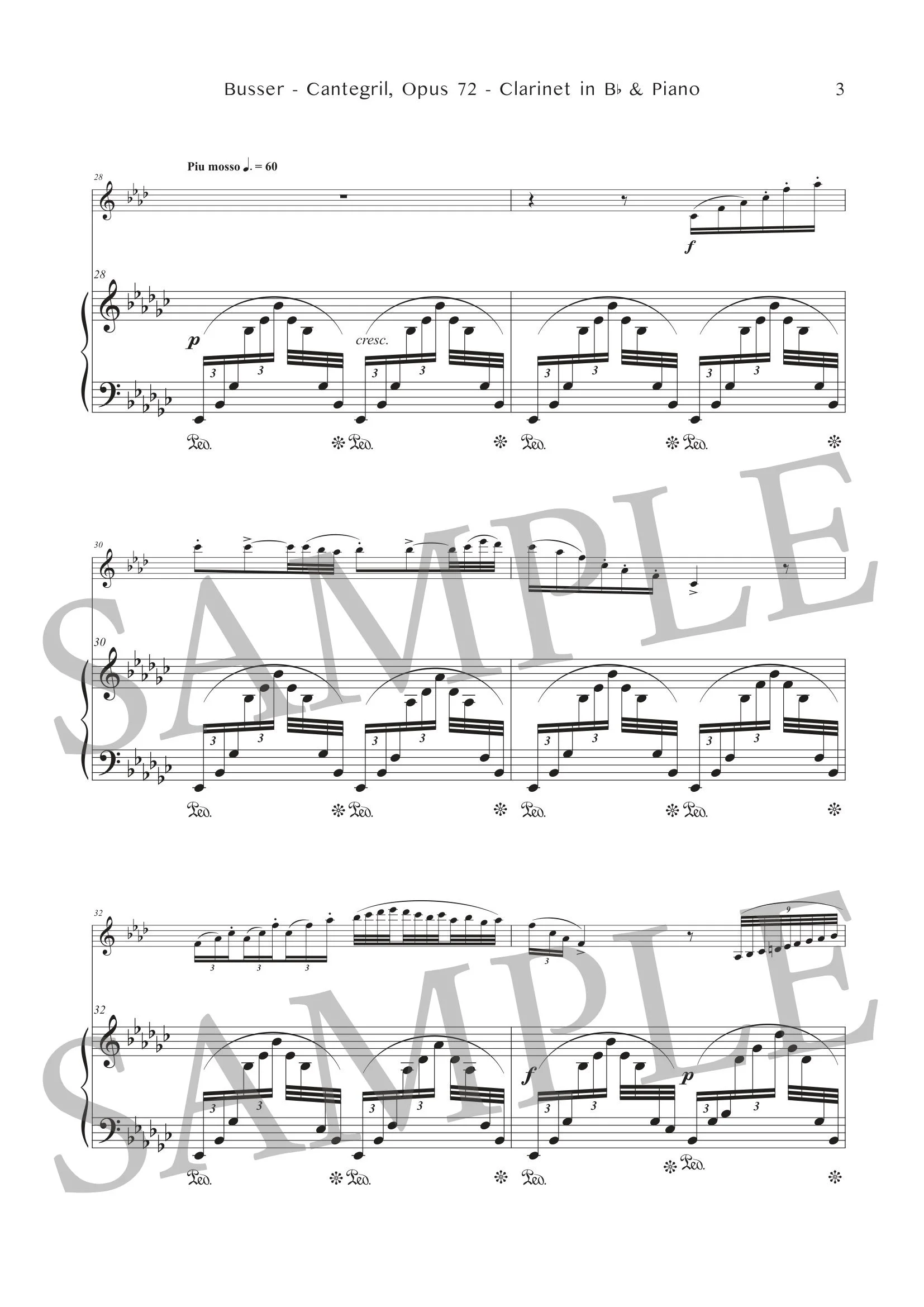 BUSSER - CANTEGRIL - SCORE SAMPLE-3.jpg