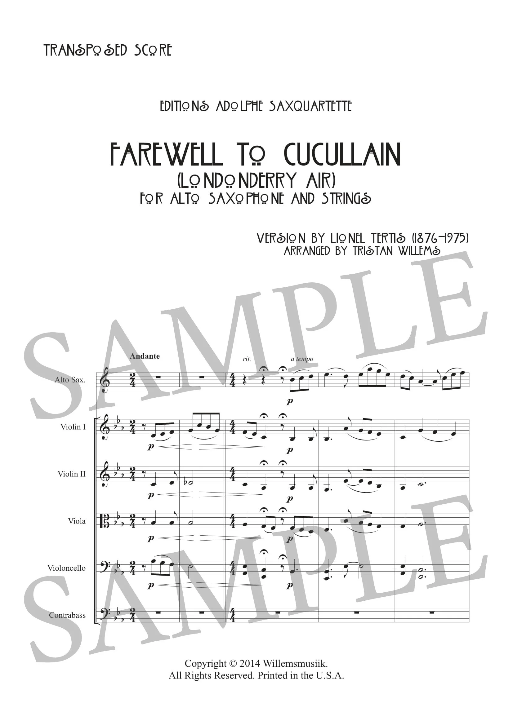 TERTIS - LONDONDERRY AIR - SCORE SAMPLE-1.jpg