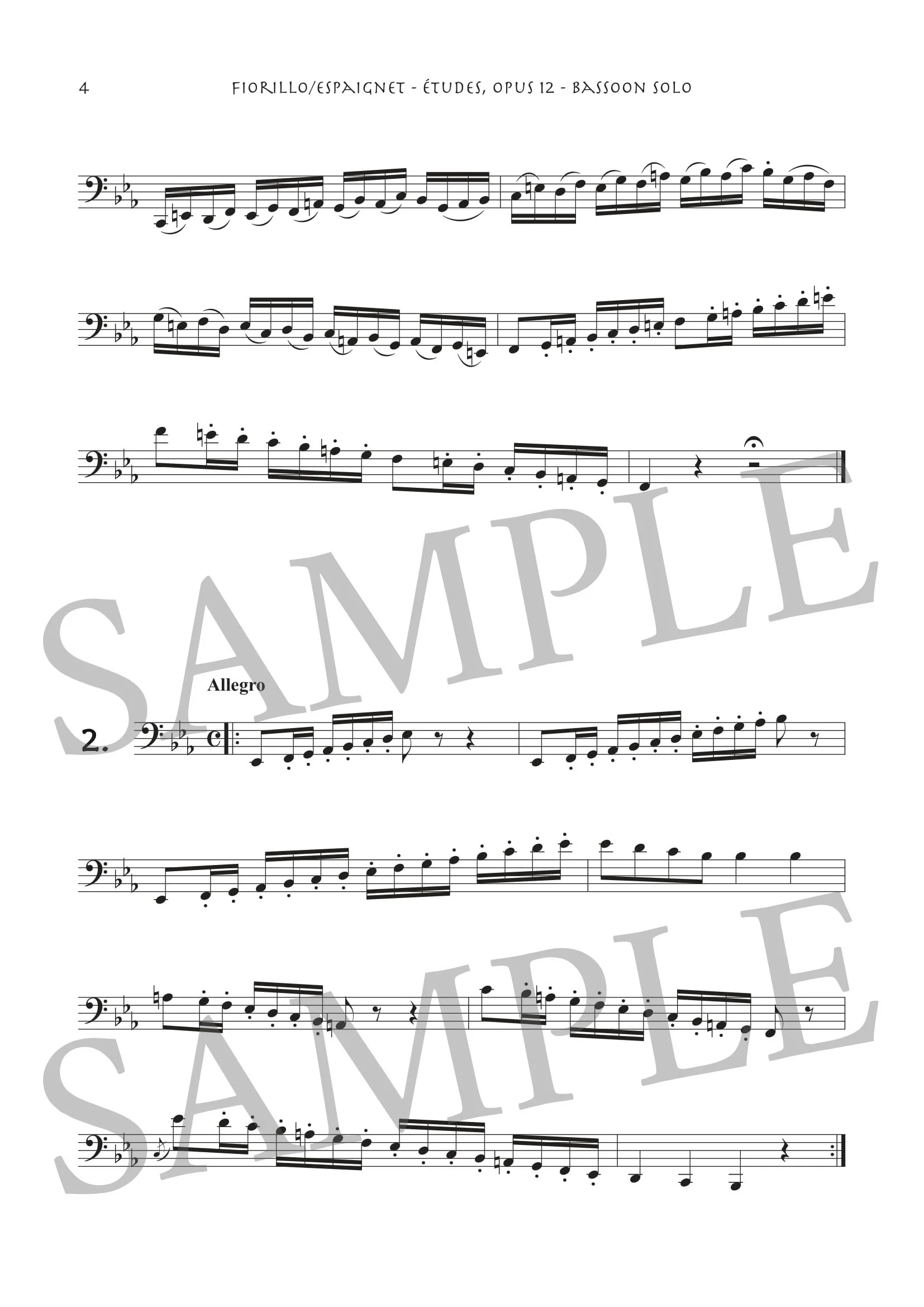 FIORILLO - ETUDES - SCORE SAMPLE PDF-2.jpg