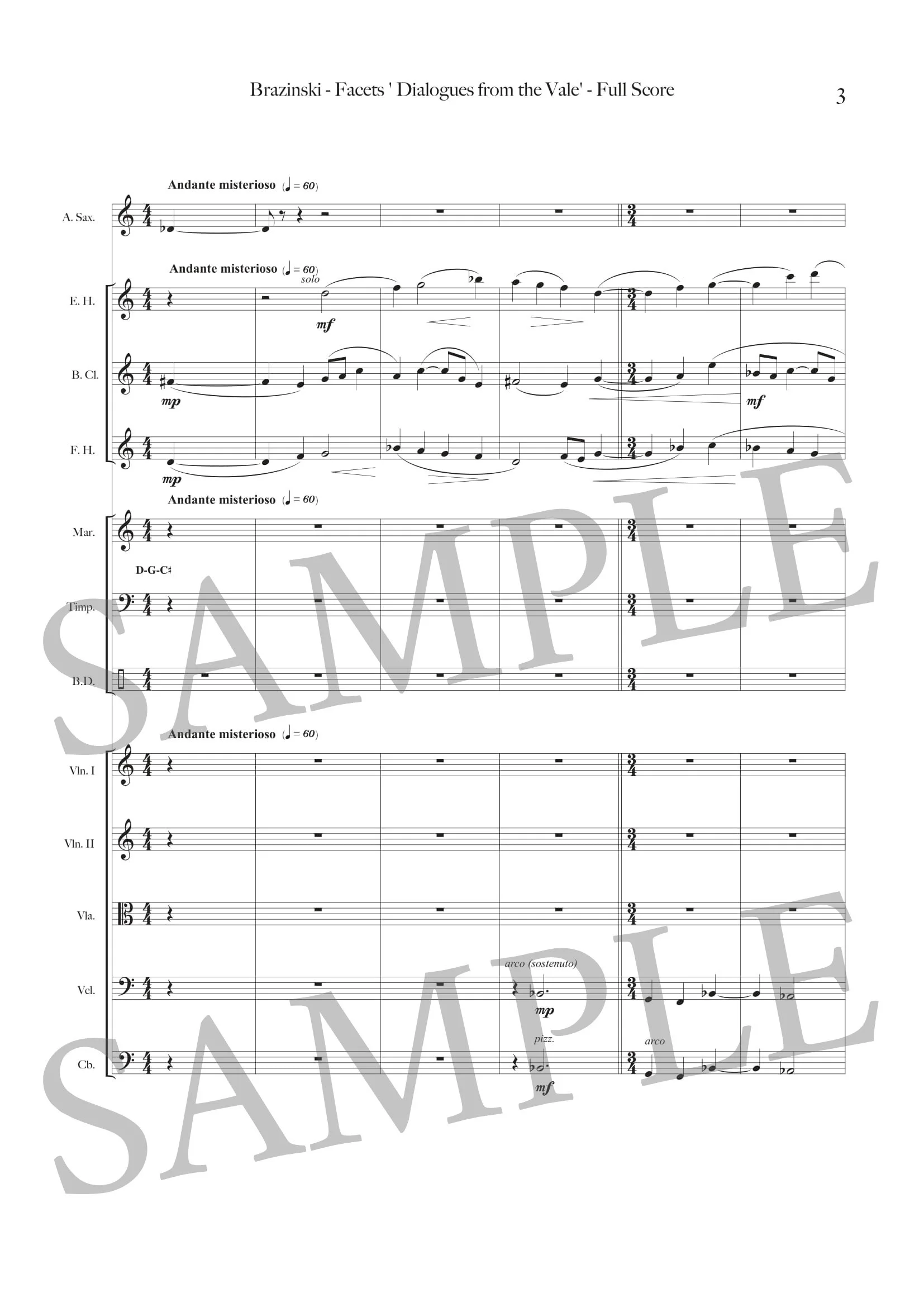 BRAZINSKI - FACETS - SCORE SAMPLE-2.jpg