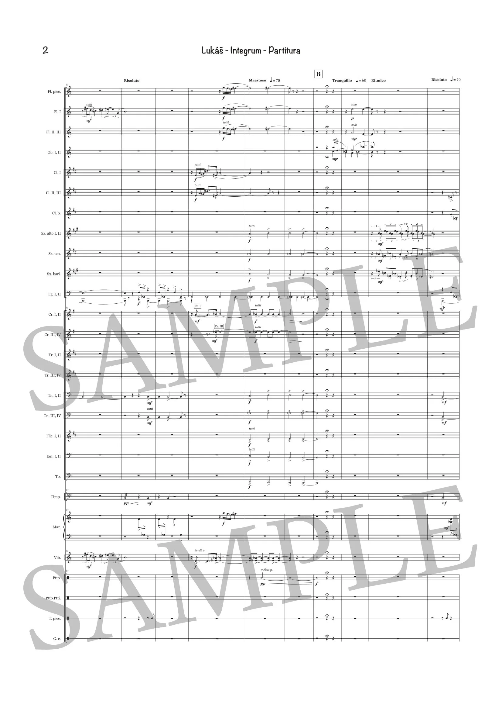 LUKÁŠ - INTEGRUM - SCORE SAMPLE-2.jpg