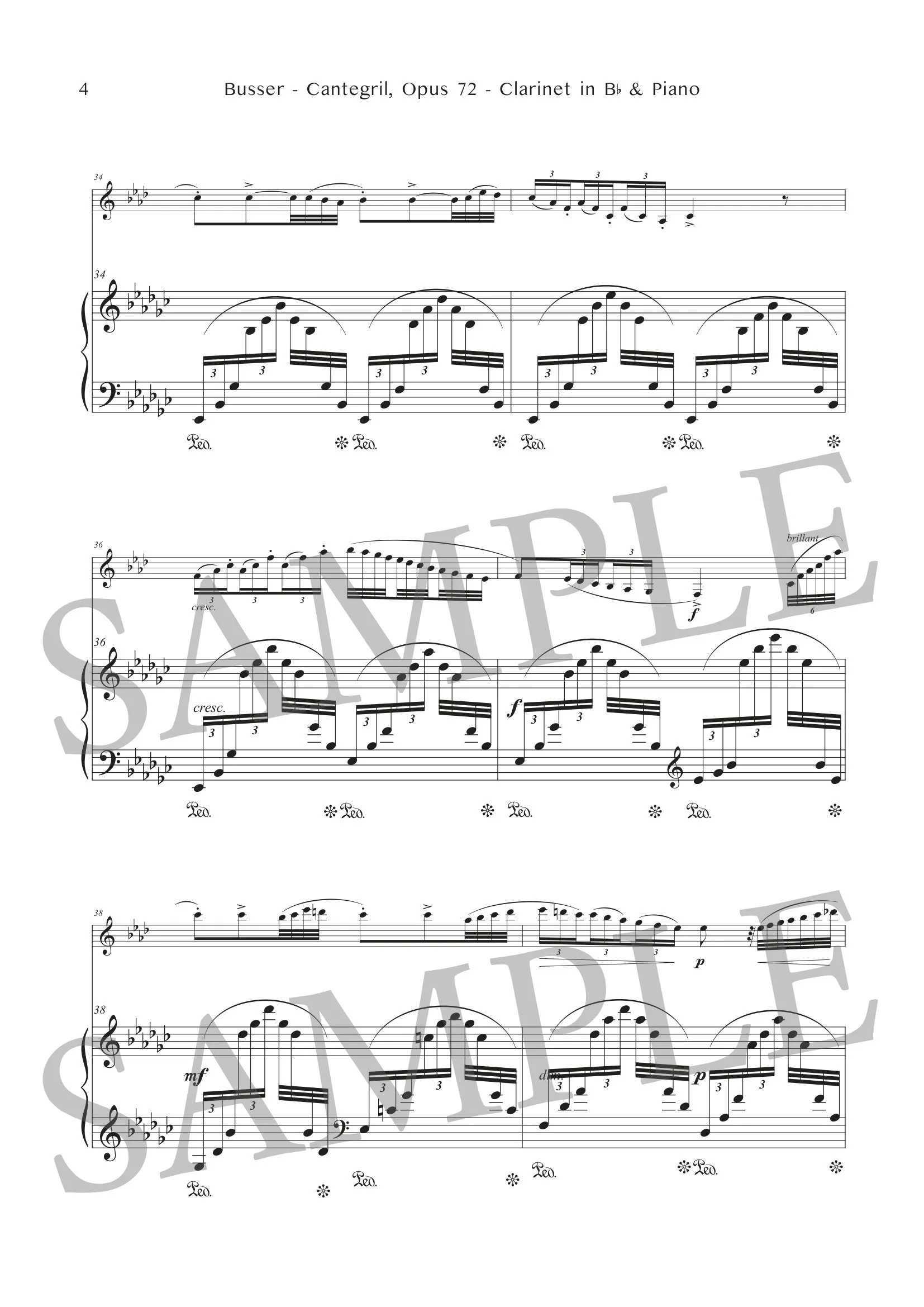 BUSSER - CANTEGRIL - SCORE SAMPLE-4.jpg
