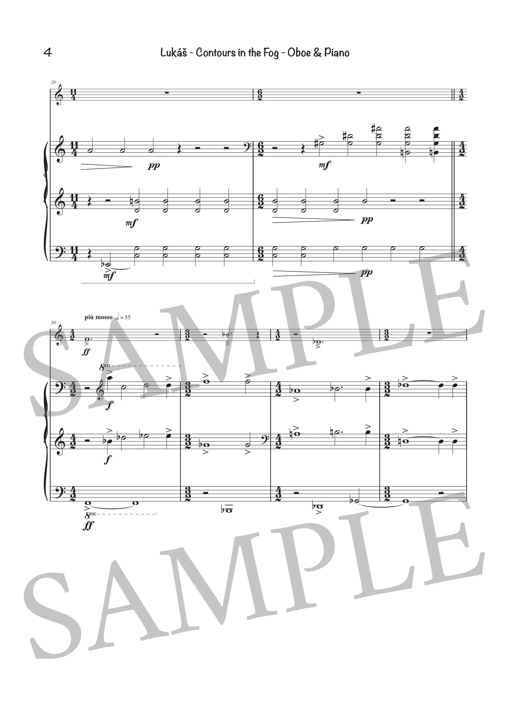 LUKÁŠ - CONTOURS - SCORE SAMPLE-4.jpg