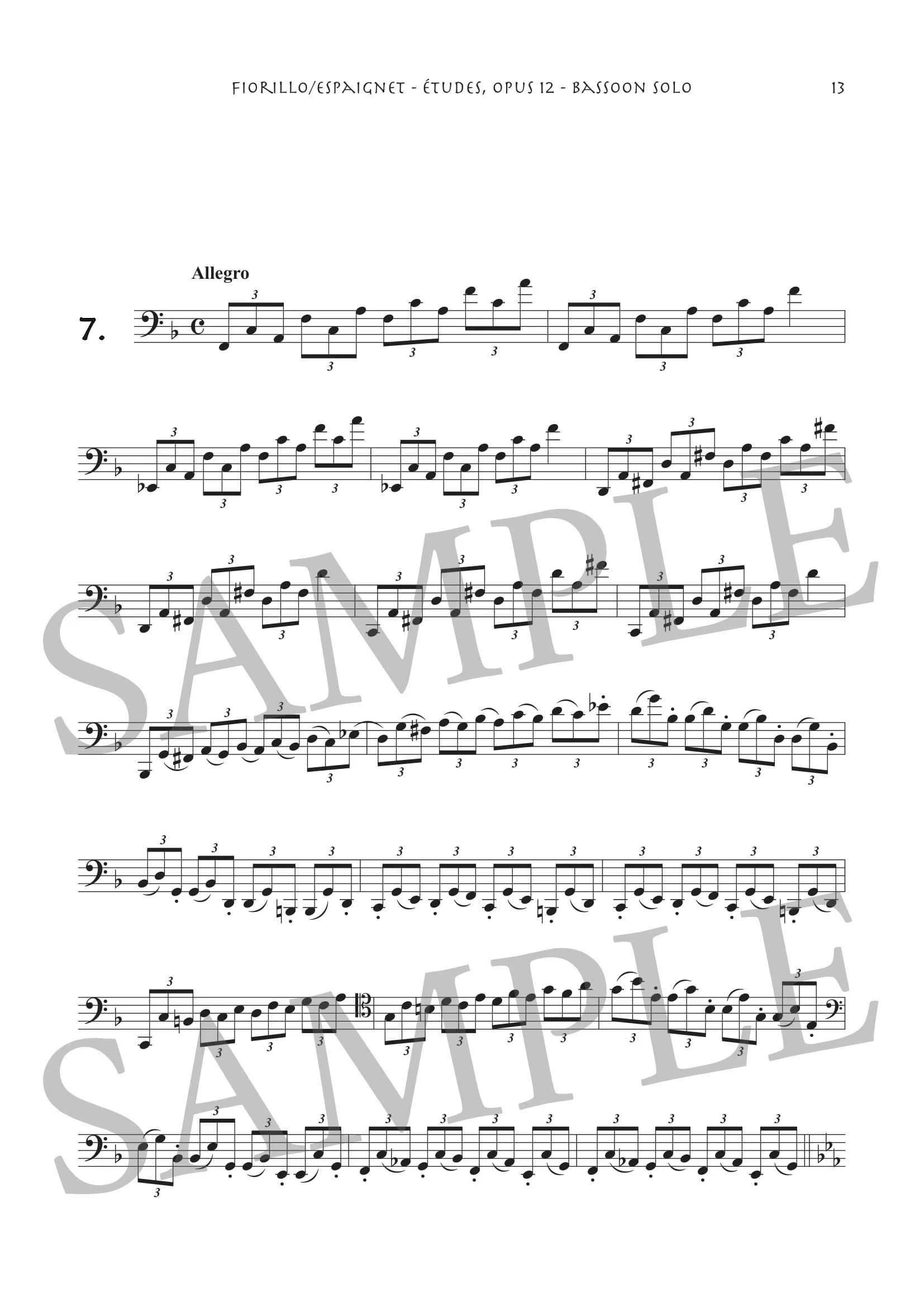 FIORILLO - ETUDES - SCORE SAMPLE PDF-7.jpg