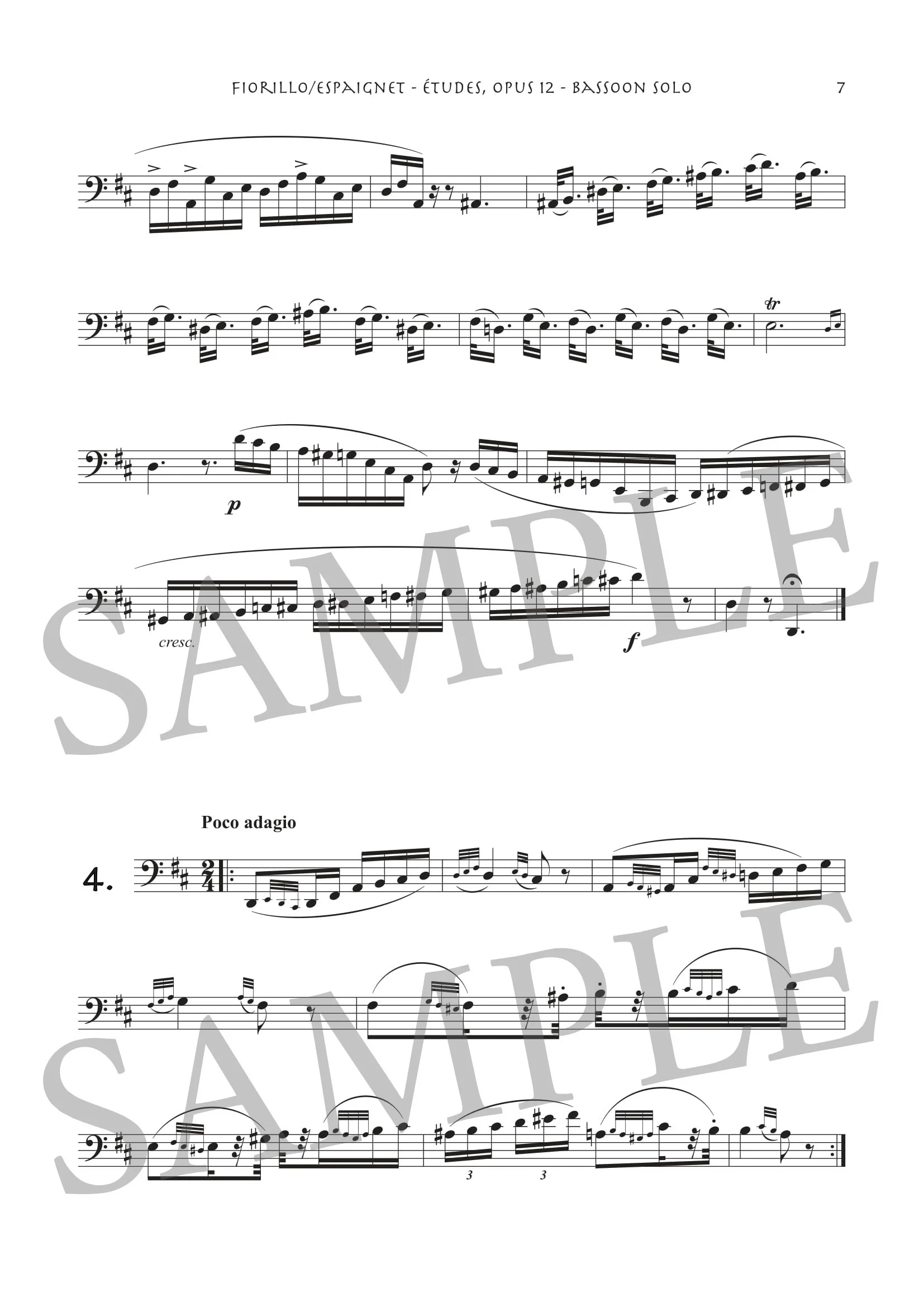 FIORILLO - ETUDES - SCORE SAMPLE PDF-4.jpg